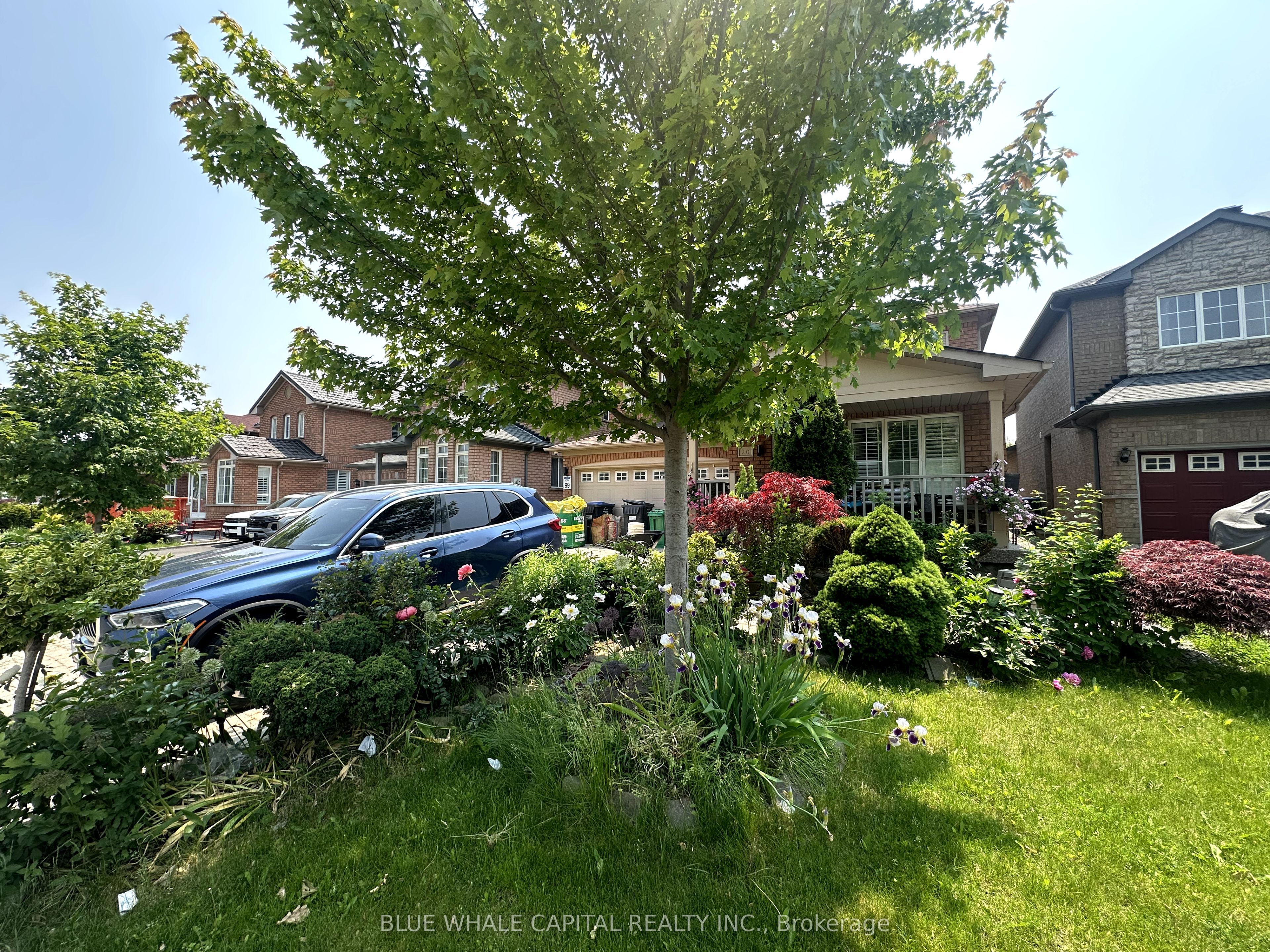 20 Hollowgrove Boulevard Basement, Brampton, ON L6P 1B1 photo 2