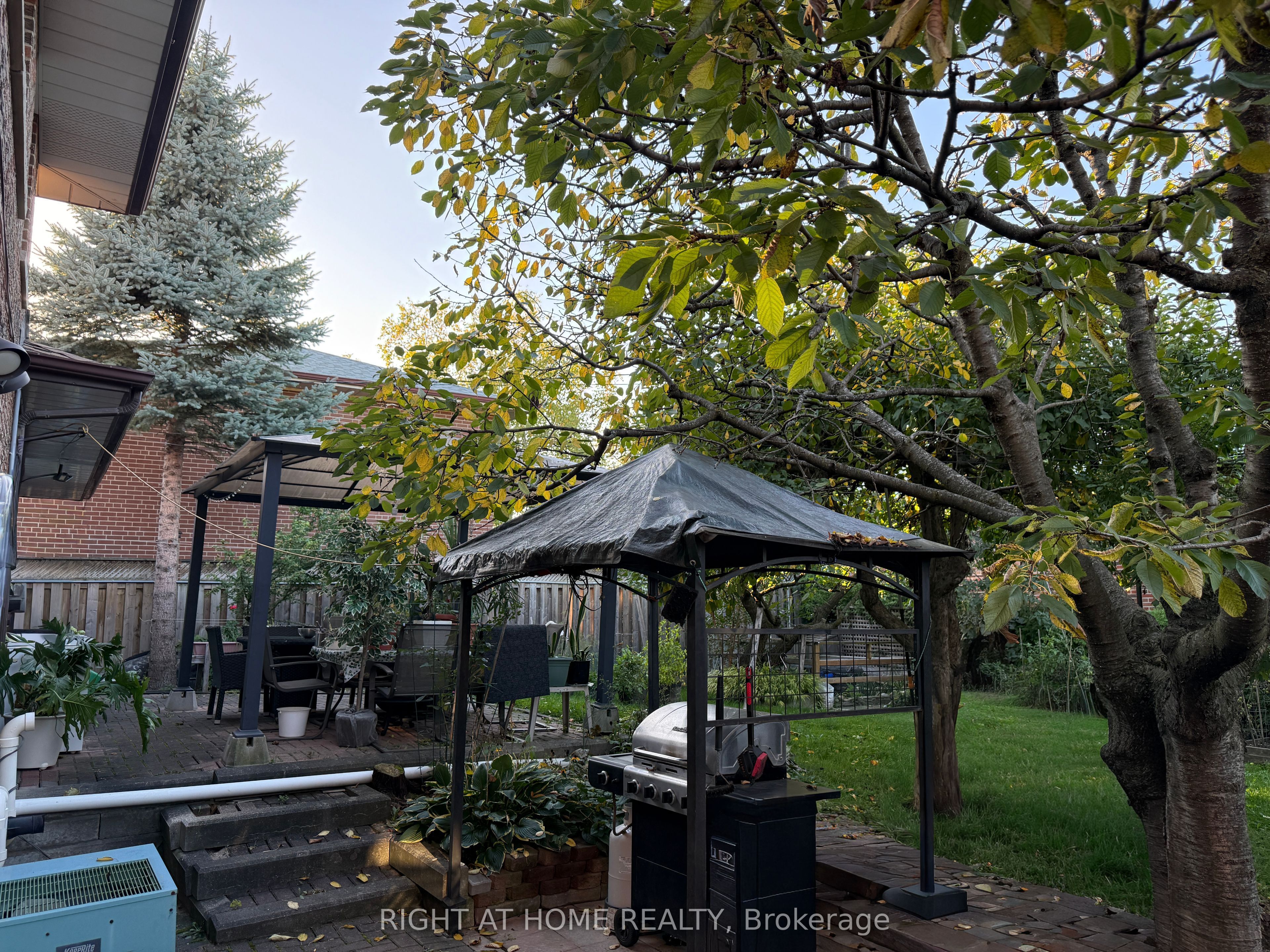 258 La Rose Avenue, Toronto, ON M9P 1B7 photo 3