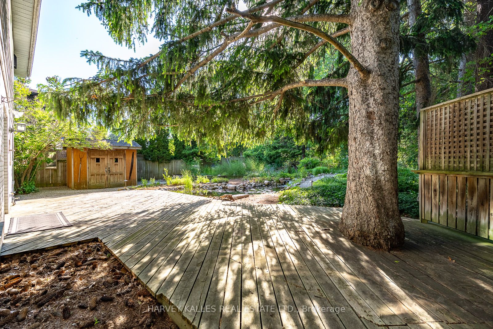 1033 Fair Birch Drive, Mississauga, ON L5H 1M4 photo 5