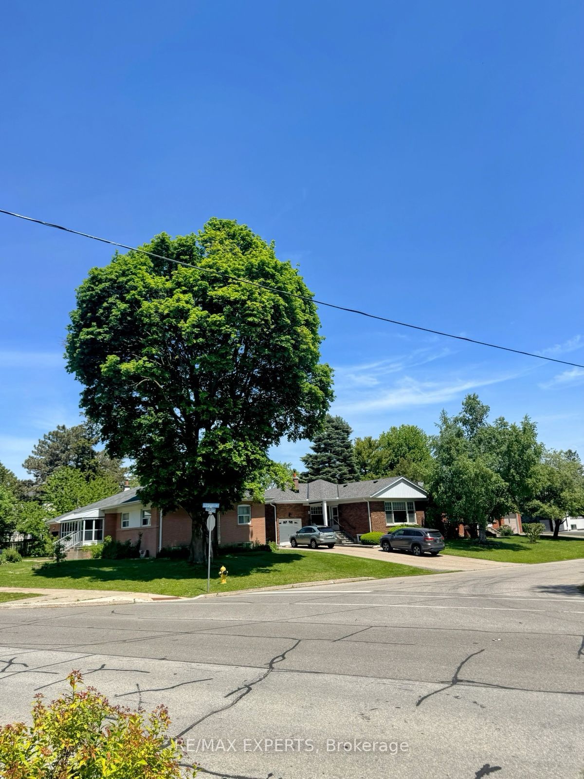 71 Lloyd Manor Road, Toronto, ON M9B 5J2 photo 3