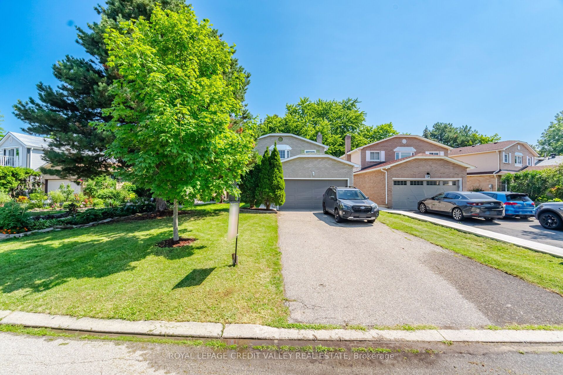 49 Sutter Avenue, Brampton, ON L6Z 1G6 photo 3