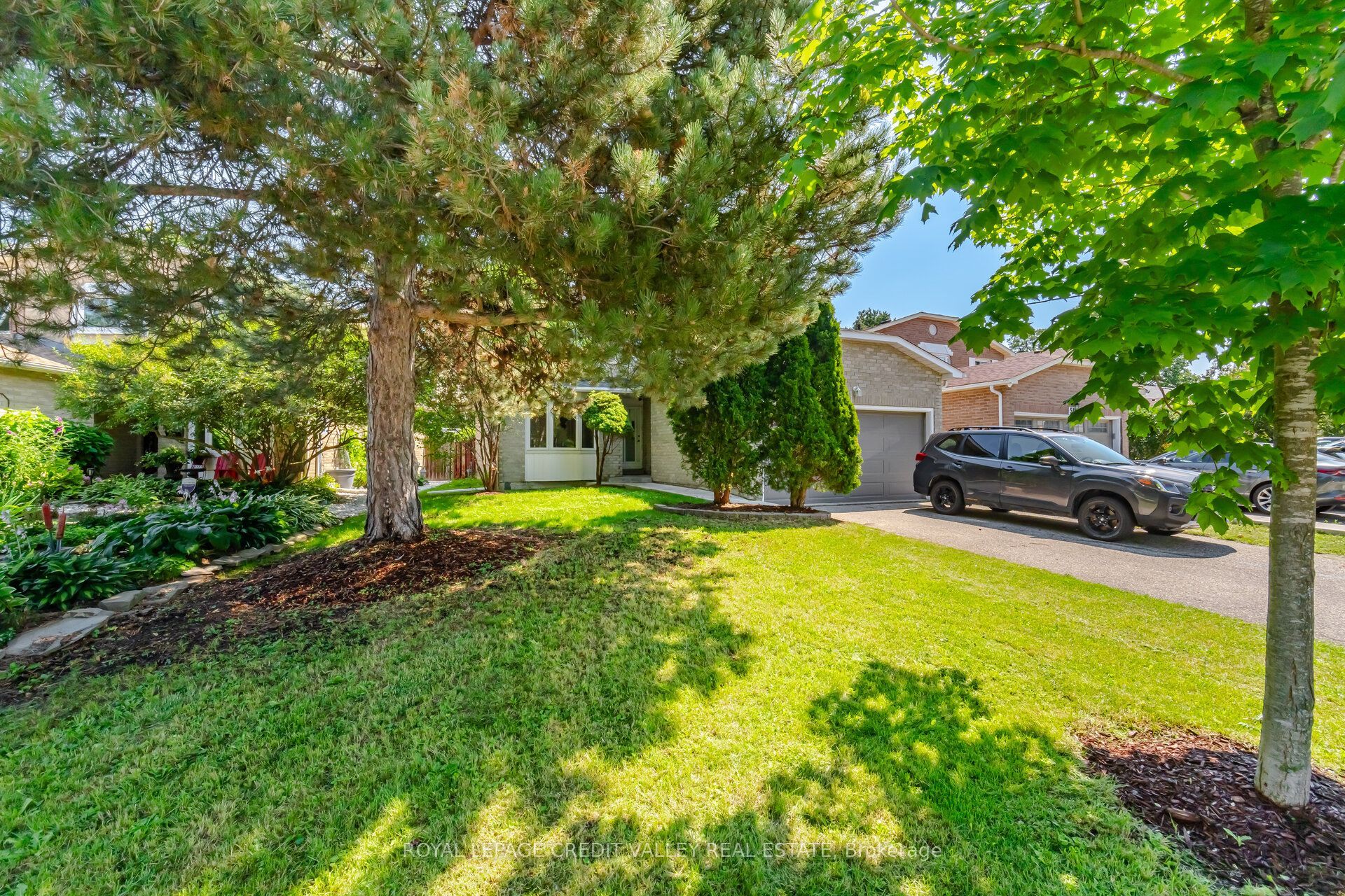 49 Sutter Avenue, Brampton, ON L6Z 1G6 photo 4