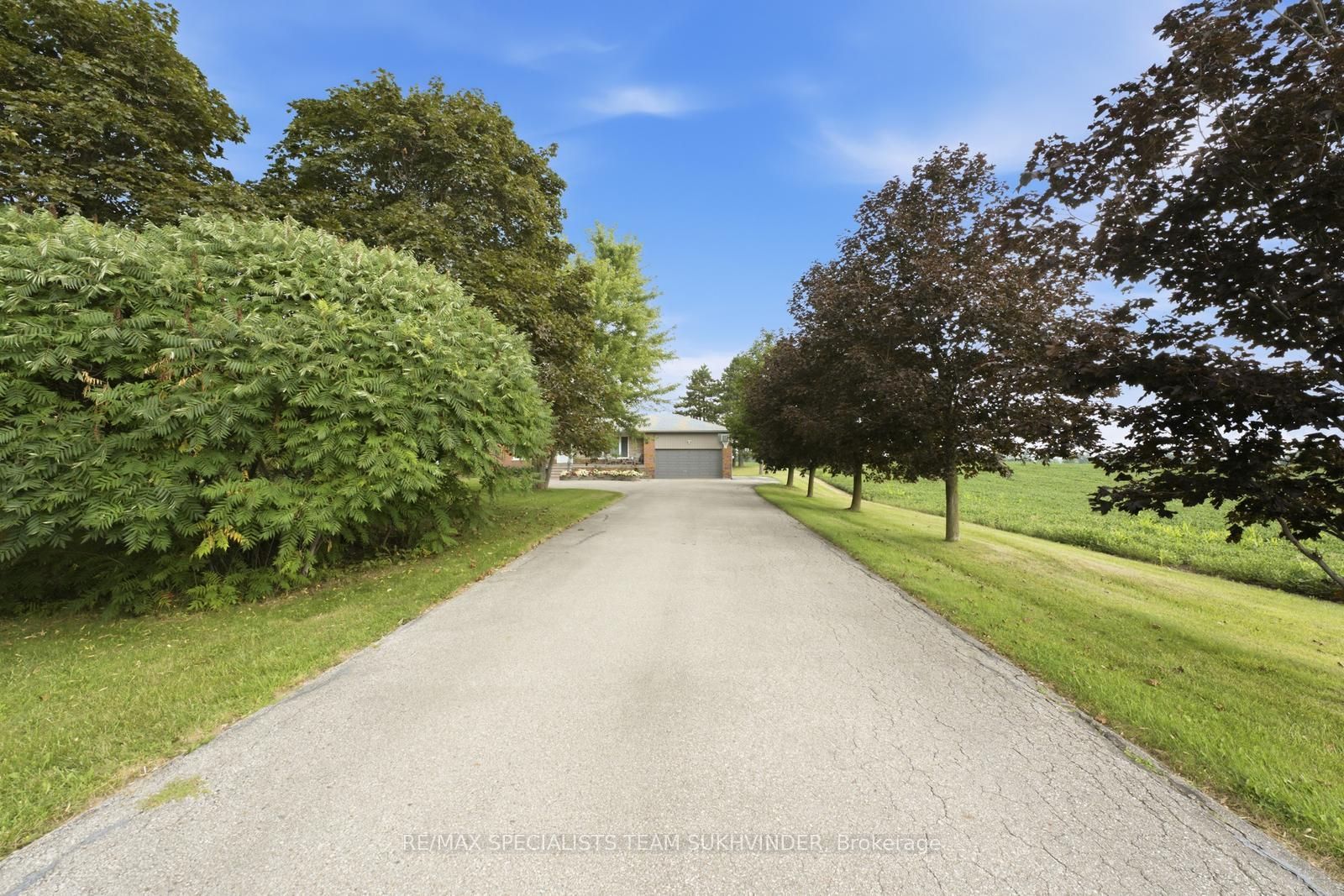 14791 Hwy 50, Caledon, ON L7E 0A6 photo 5