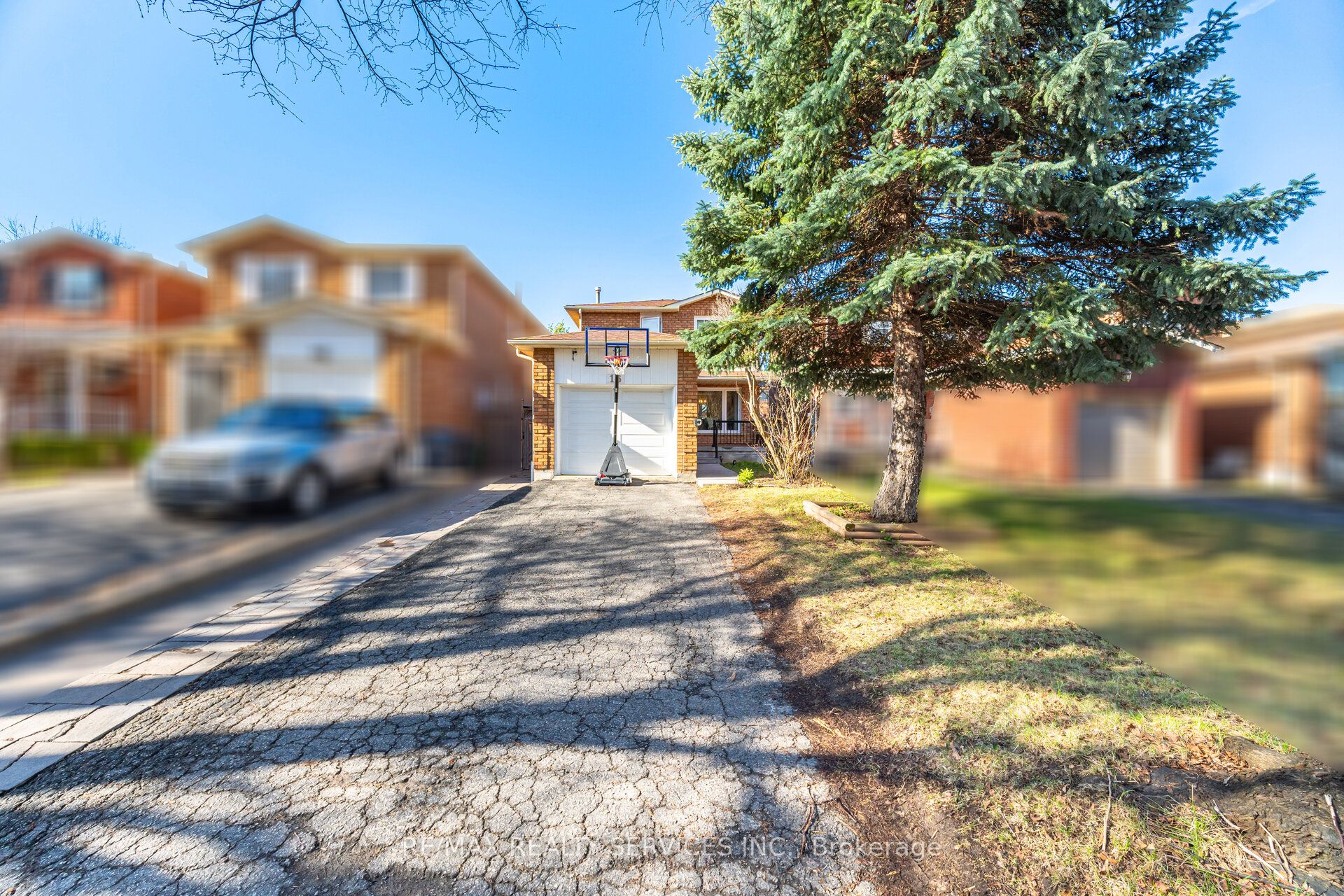 16 Langholm Court, Brampton, ON L6Z 2Y1 photo 2