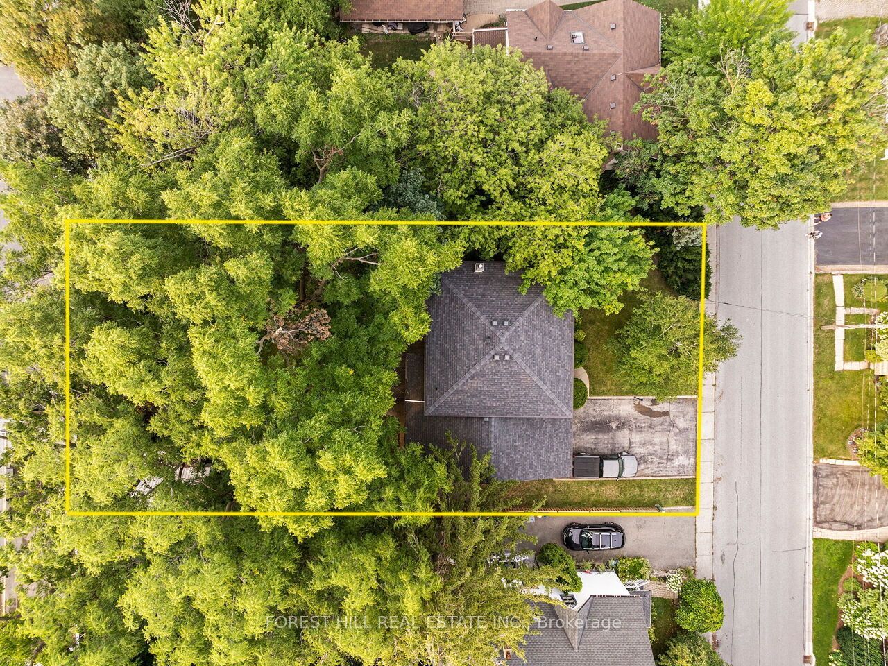 29 Mary Street, Milton, ON L9T 1L6 photo 3