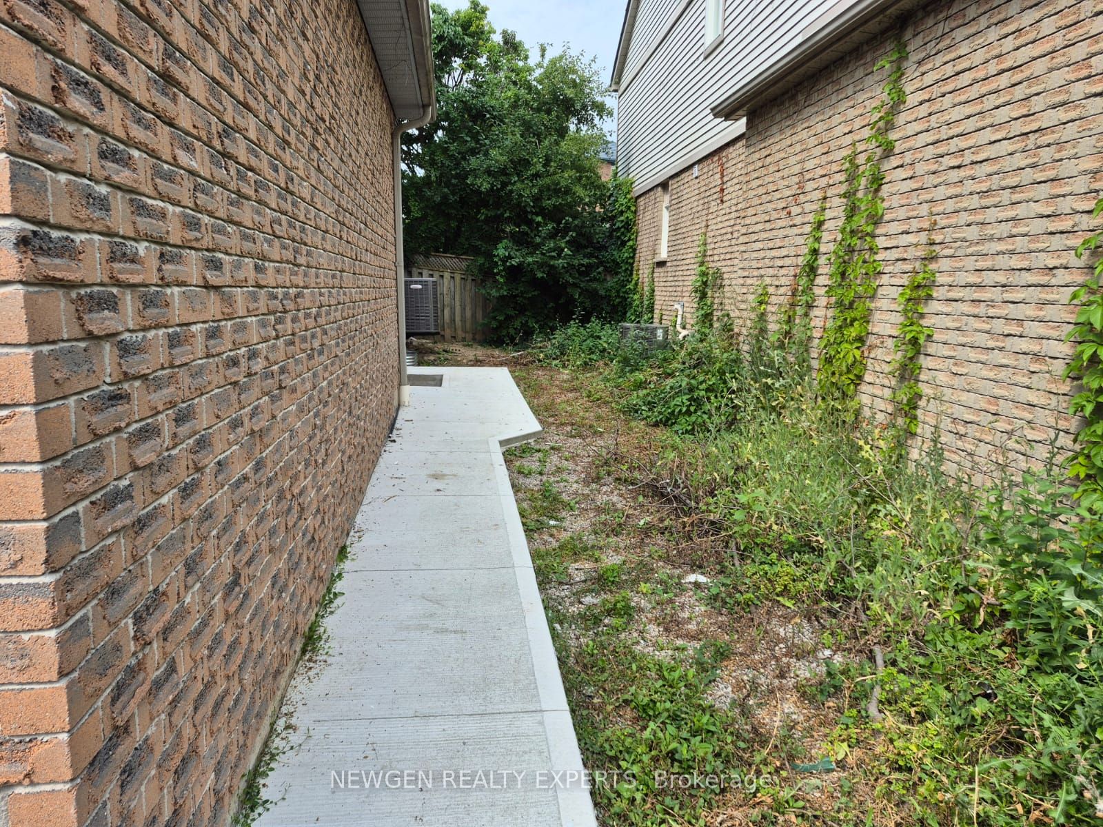 2878 Rainwater Drive (Legal Basement), Mississauga, ON L5N 6K9 photo 2