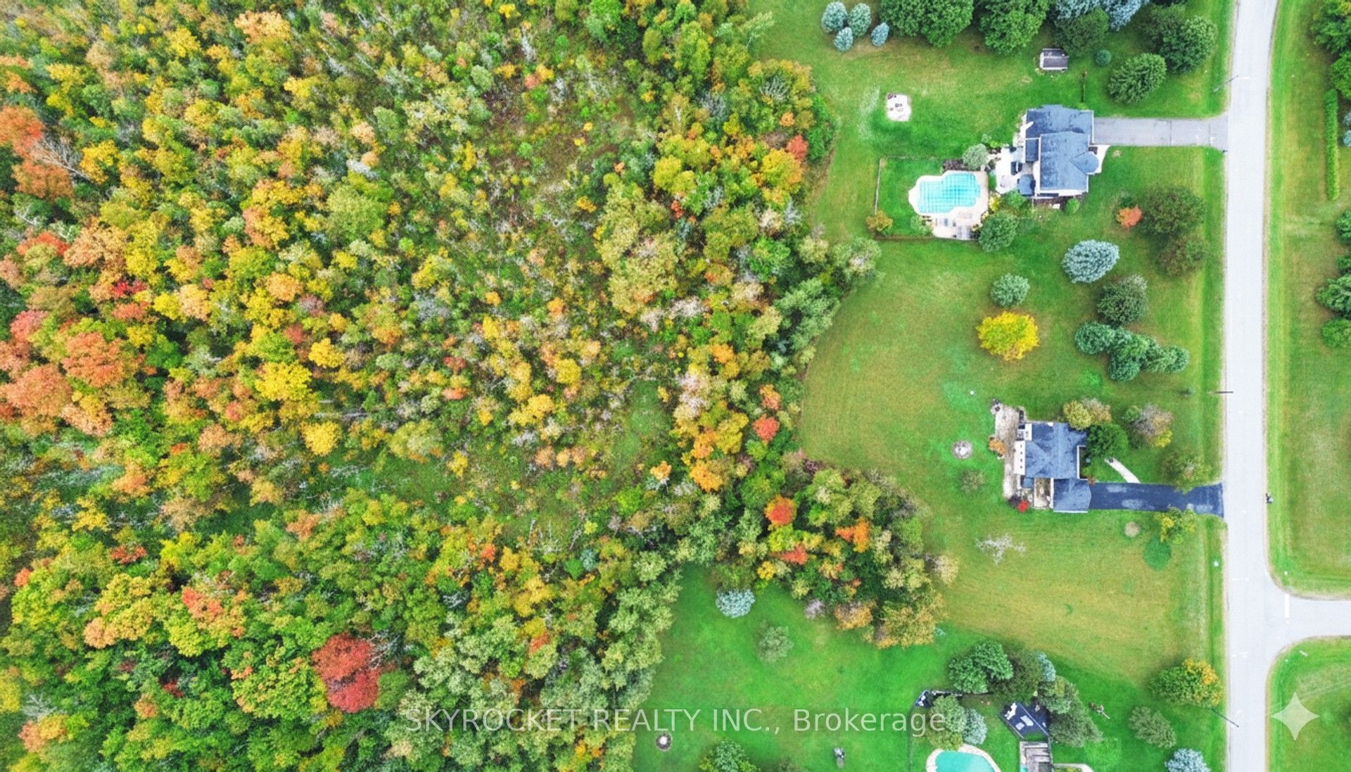 41 Elite Road, Caledon, ON L7K 0L2 photo 5