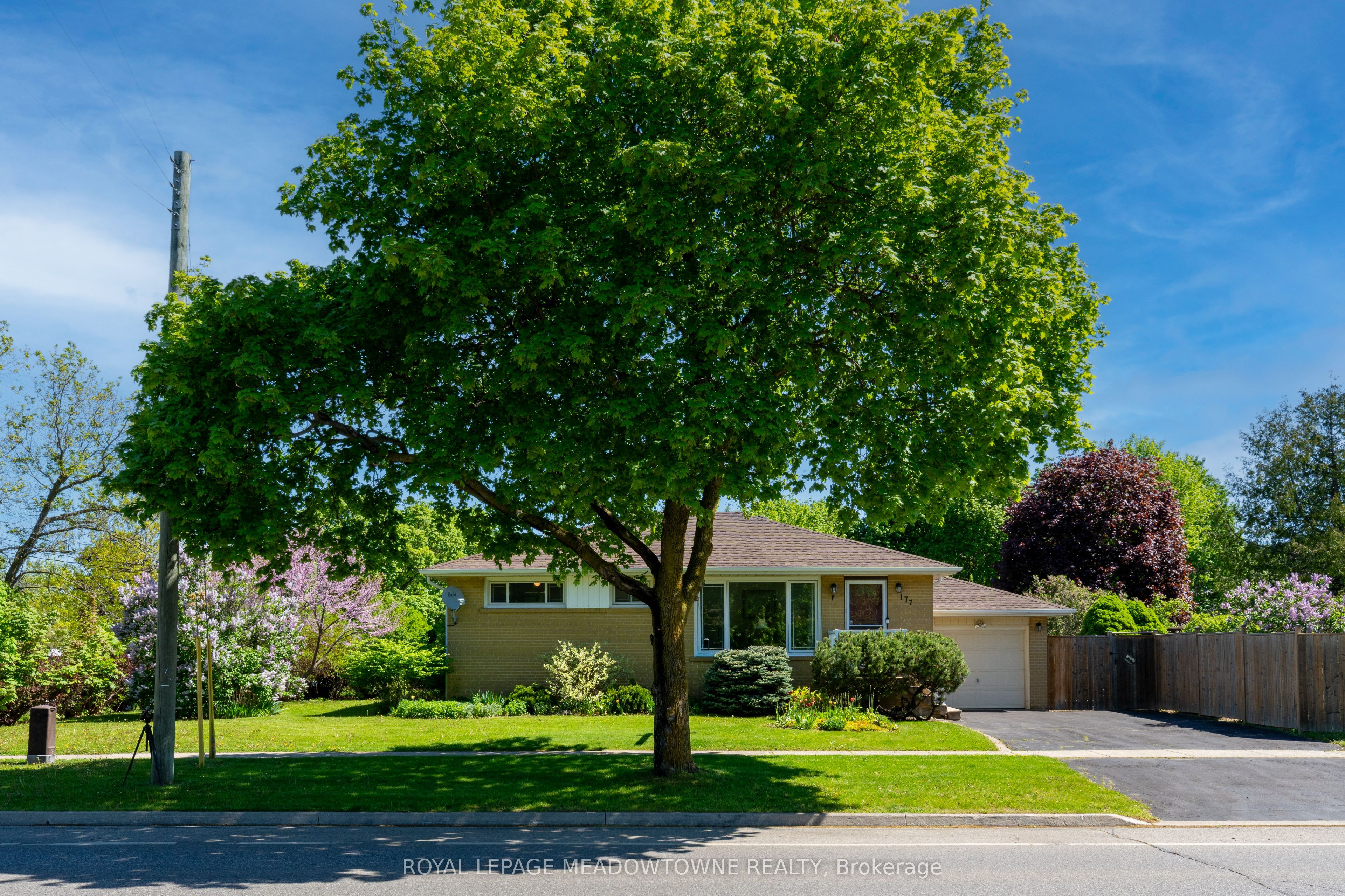 177 Delrex Boulevard, Halton Hills, ON L7G 4E4 photo 3
