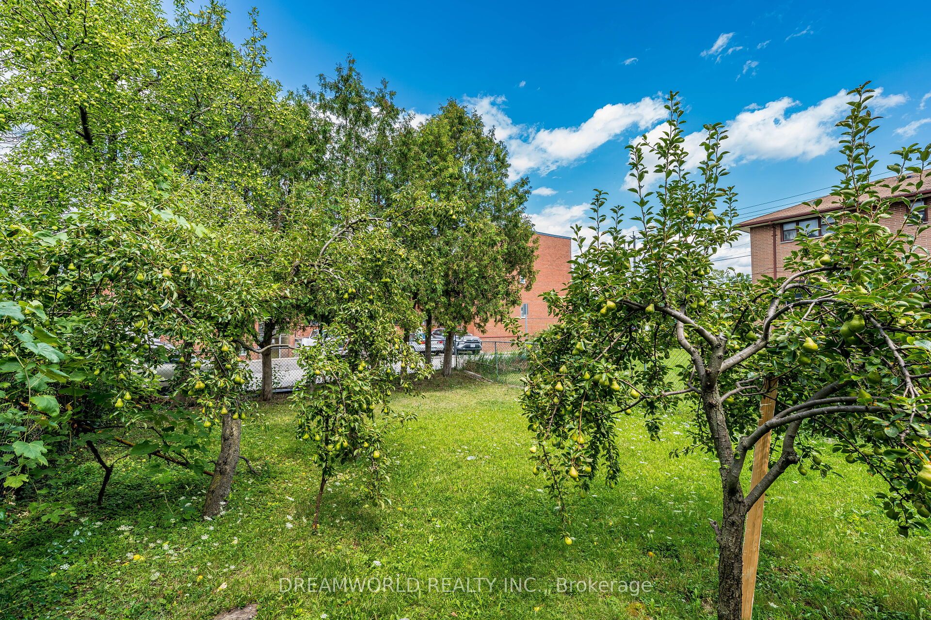 24 Whitburn Crescent, Toronto, ON M3M 2S2 photo 5