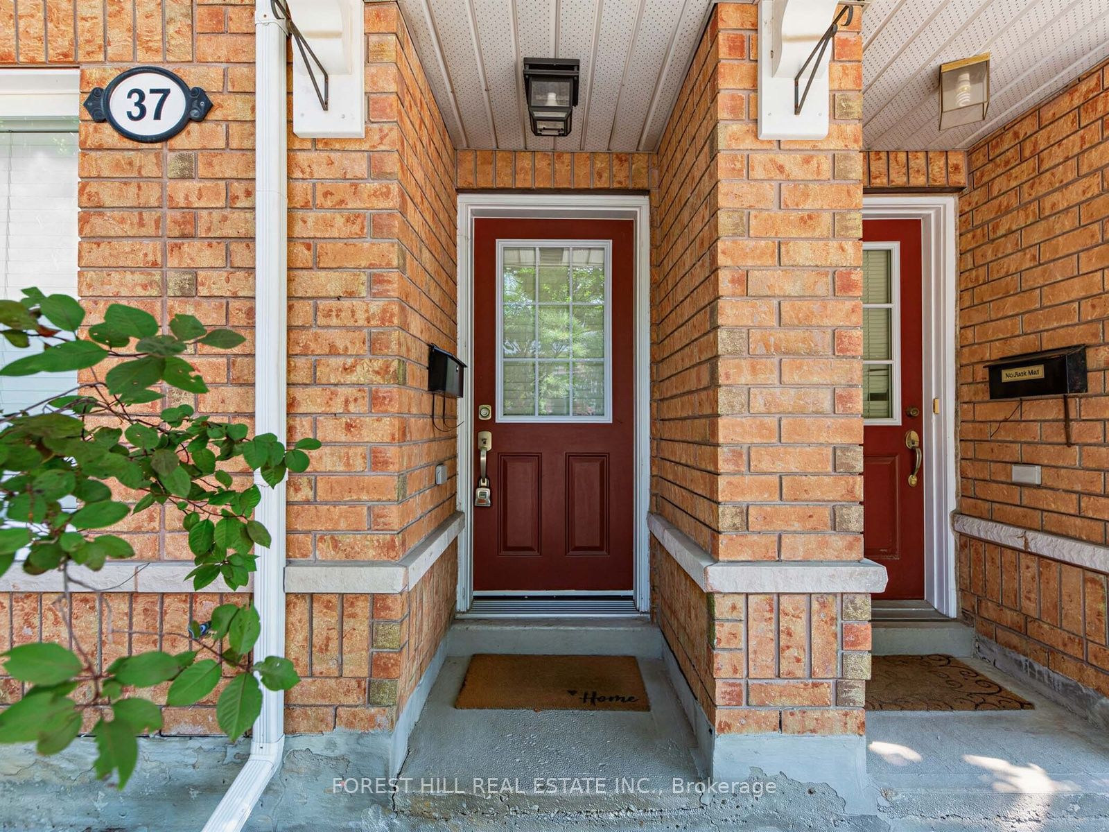37 Birdstone Crescent, Toronto, ON M6N 5H5 photo 3