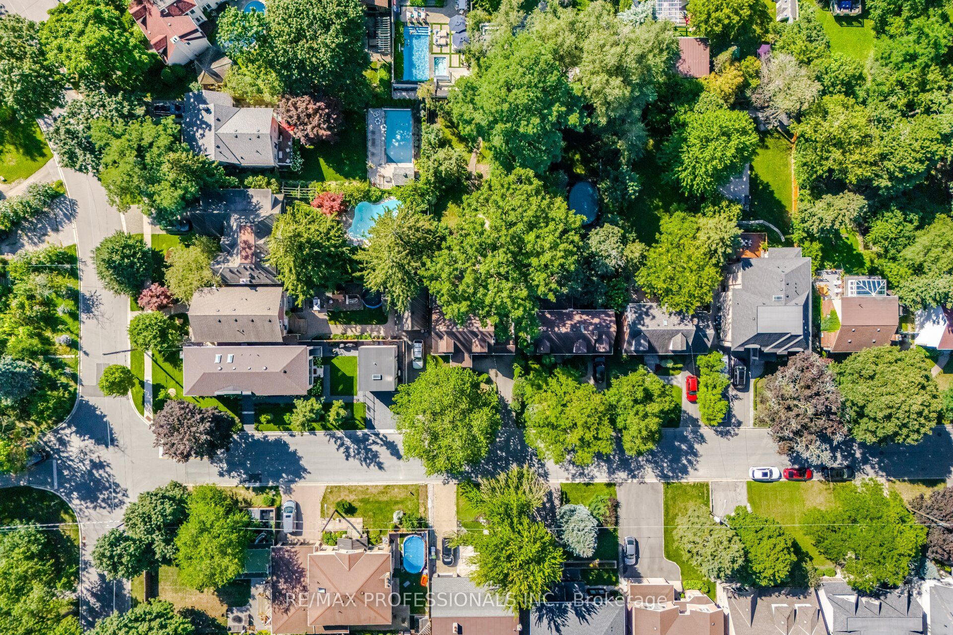 29 Mattice Road, Toronto, ON M9A 1E5 photo 4