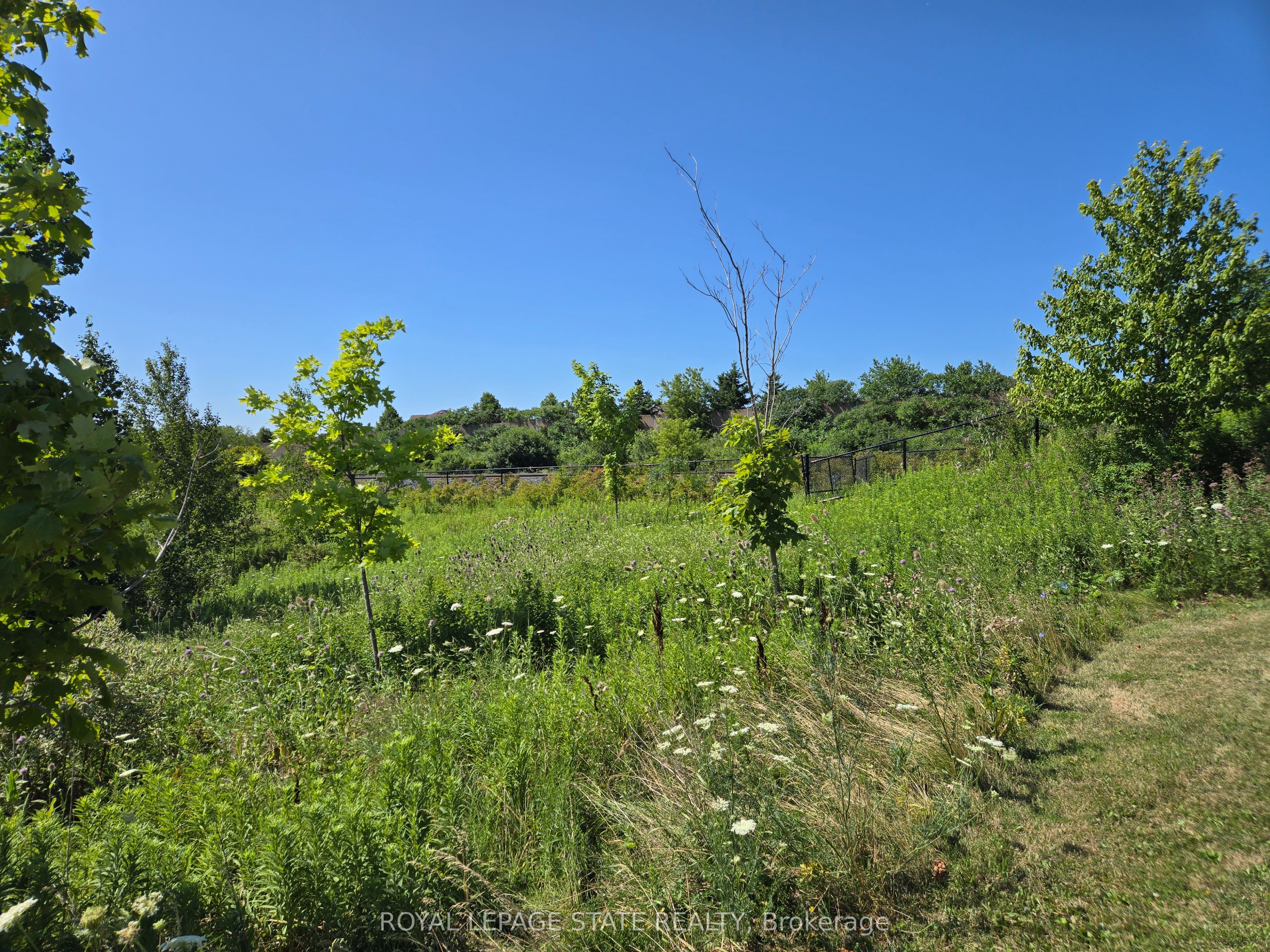 50 Dredge Court, Milton, ON L9T 8T1 photo 3