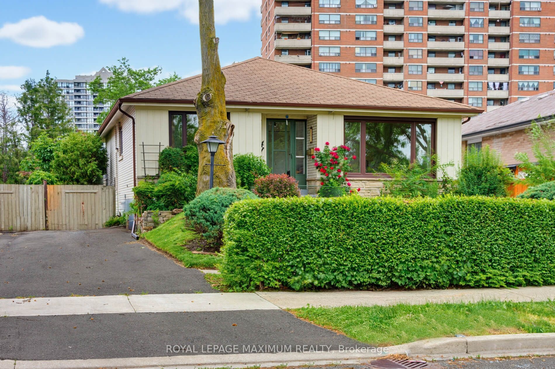 41 Strathavon Drive, Toronto, ON M9V 2H4 photo 2