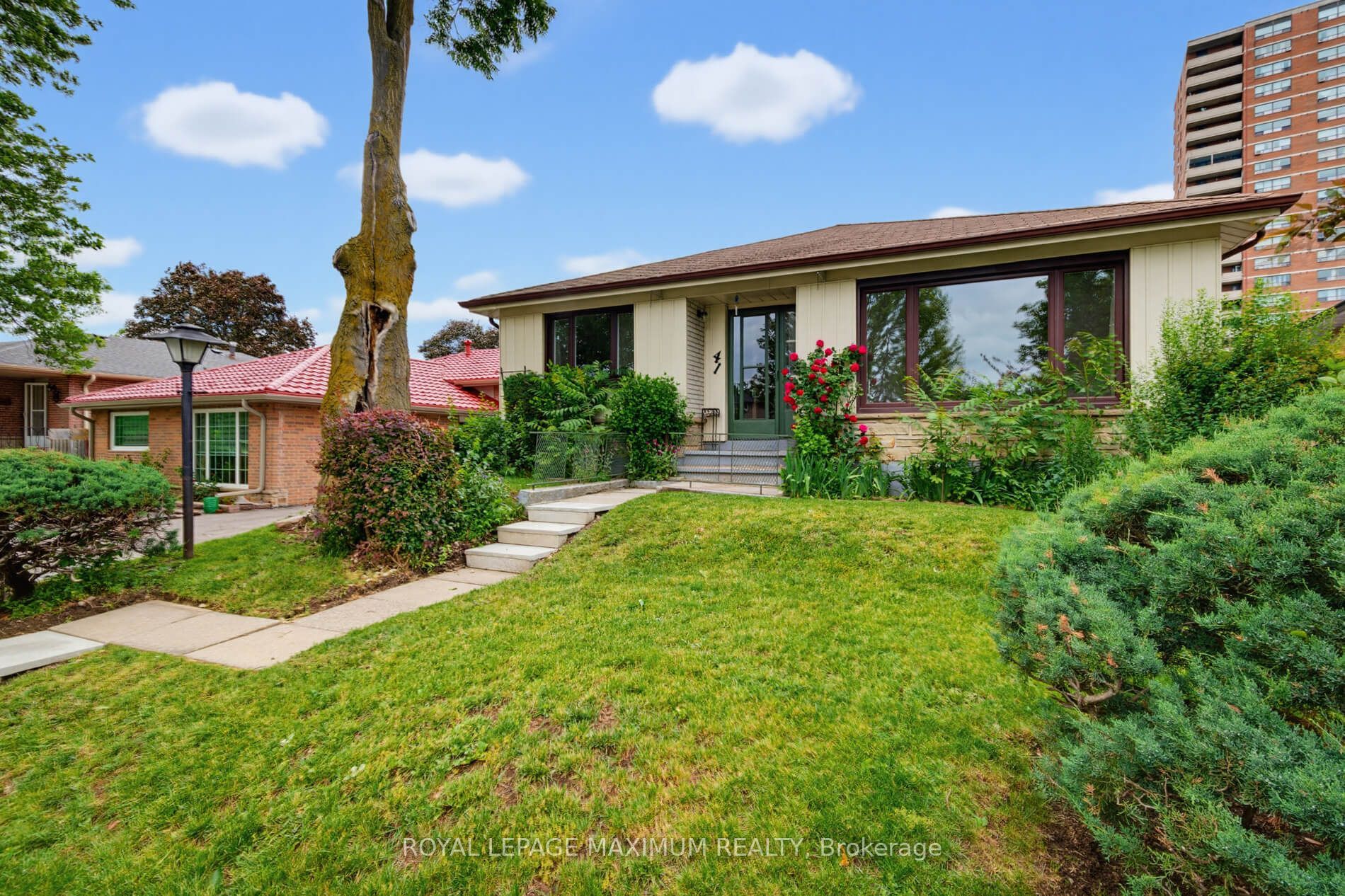 41 Strathavon Drive, Toronto, ON M9V 2H4 photo 3