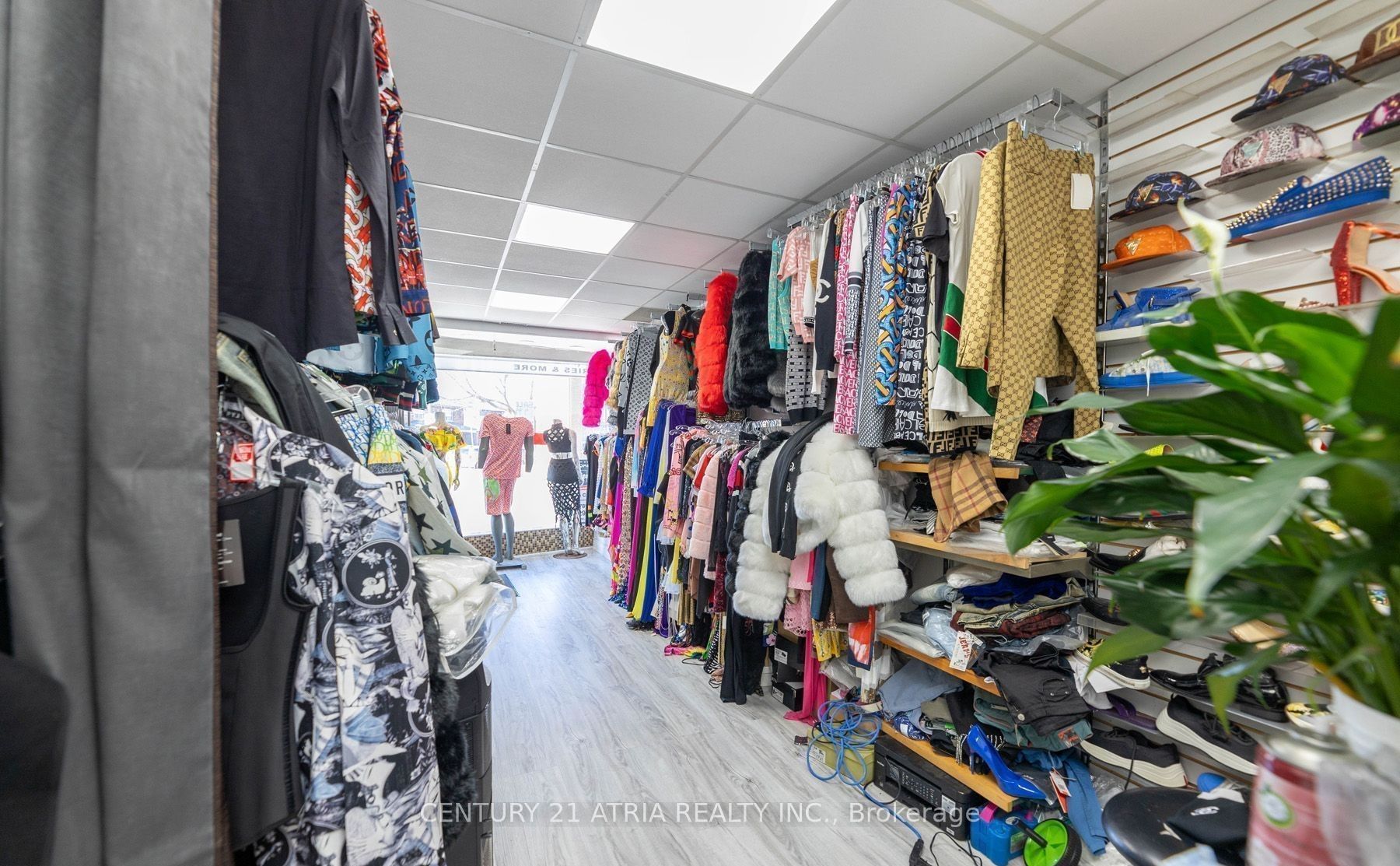 1085 Weston Road, Toronto, ON M6N 3S3 photo 3