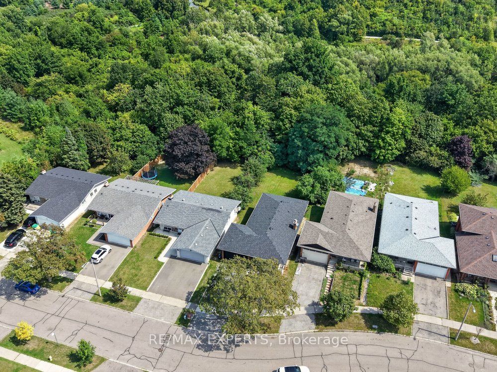 23 Collingdale Road, Toronto, ON M9V 3R2 photo 2