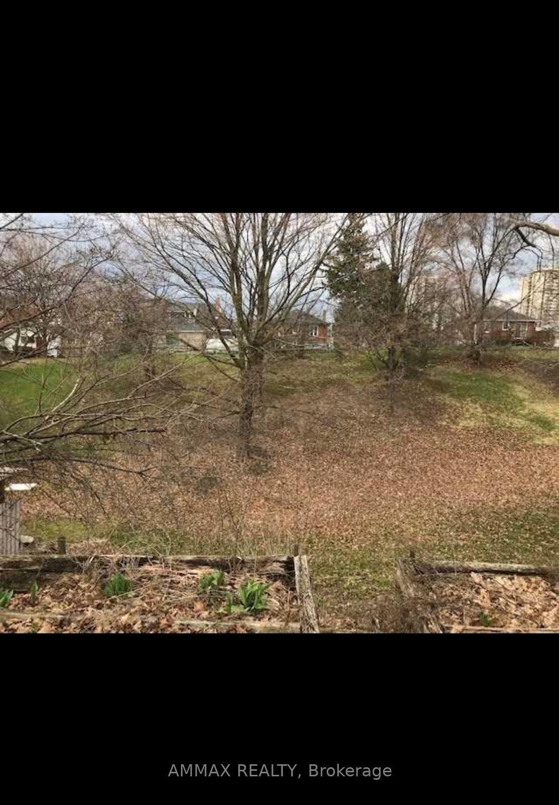 42 Arrowsmith Avenue, Toronto, ON M6M 2W7 photo 3