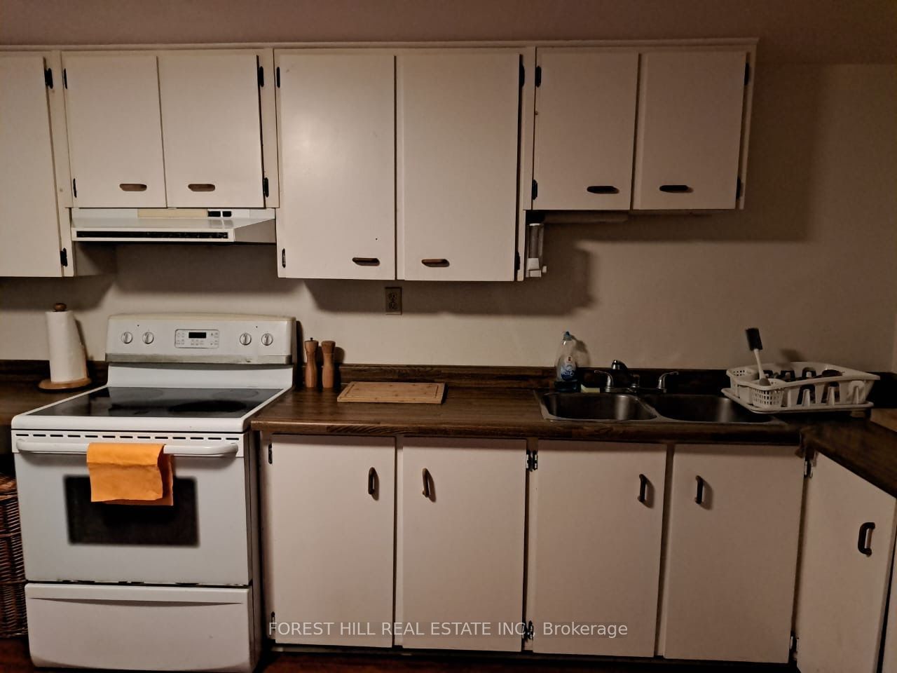 1706 Blackbird Drive BSMT, Mississauga, ON L4X 1M8 photo 2