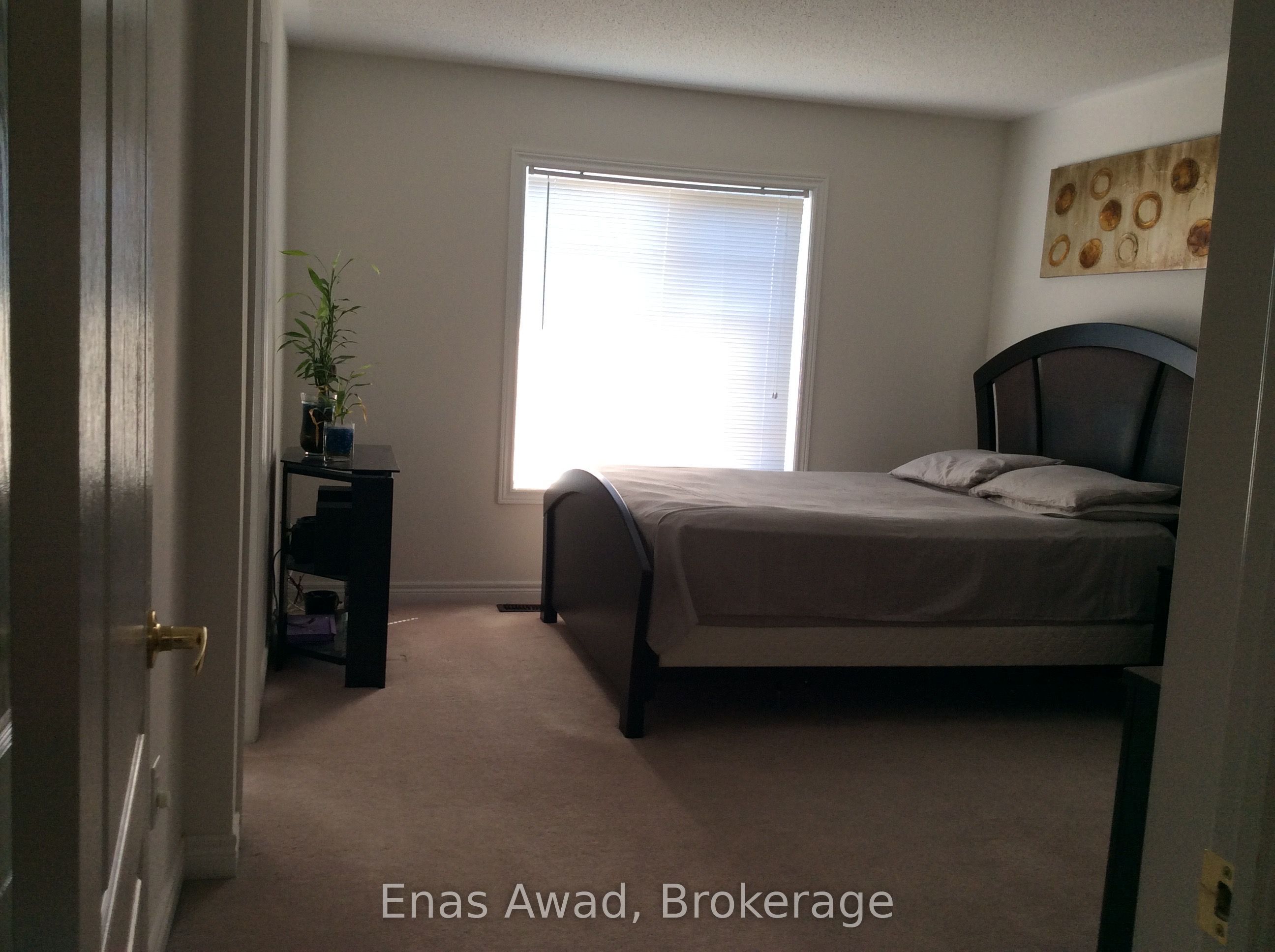 39 Palm Tree Road, Brampton, ON L6V 4N5 photo 4