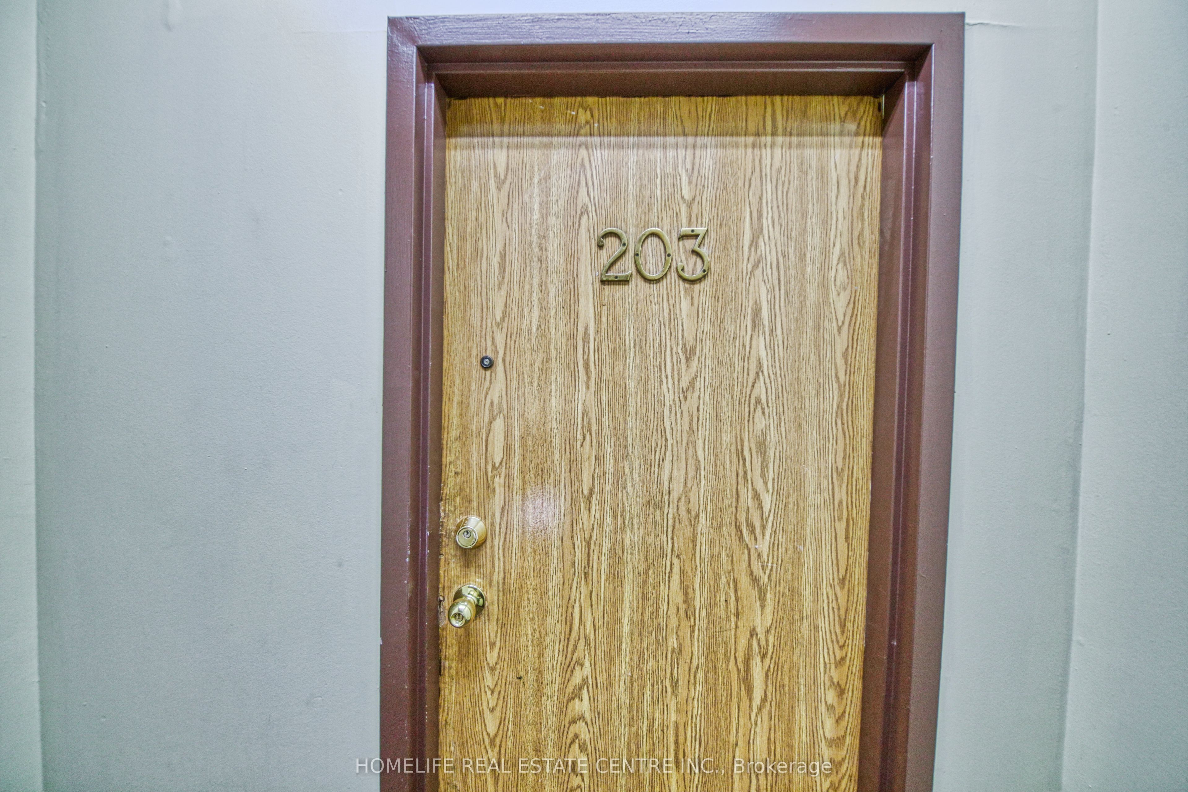 223 Jameson Avenue 203, Toronto, ON M6K 2Y7