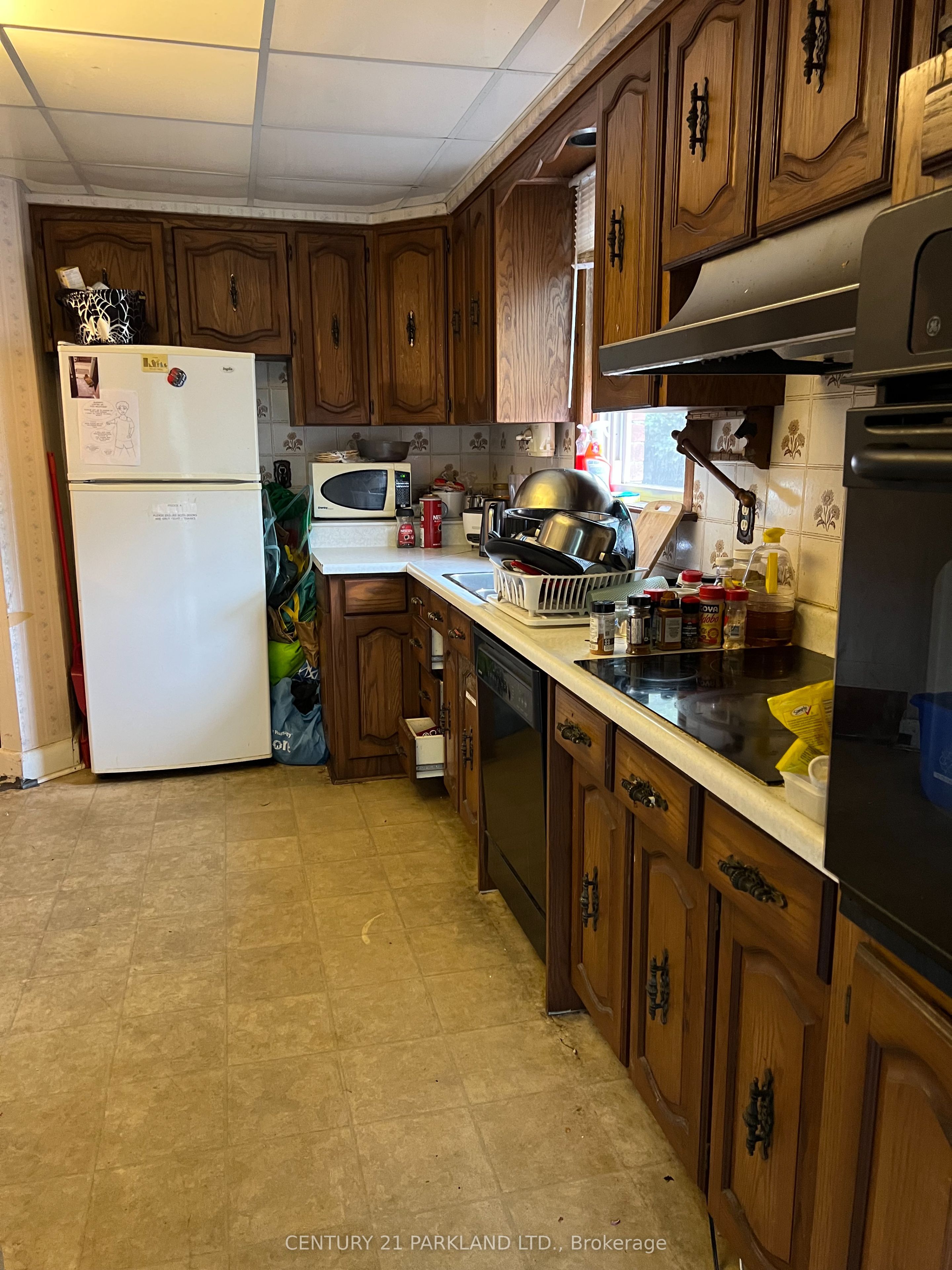 125 North Carson Street, Toronto, ON M8W 4C7 photo 3