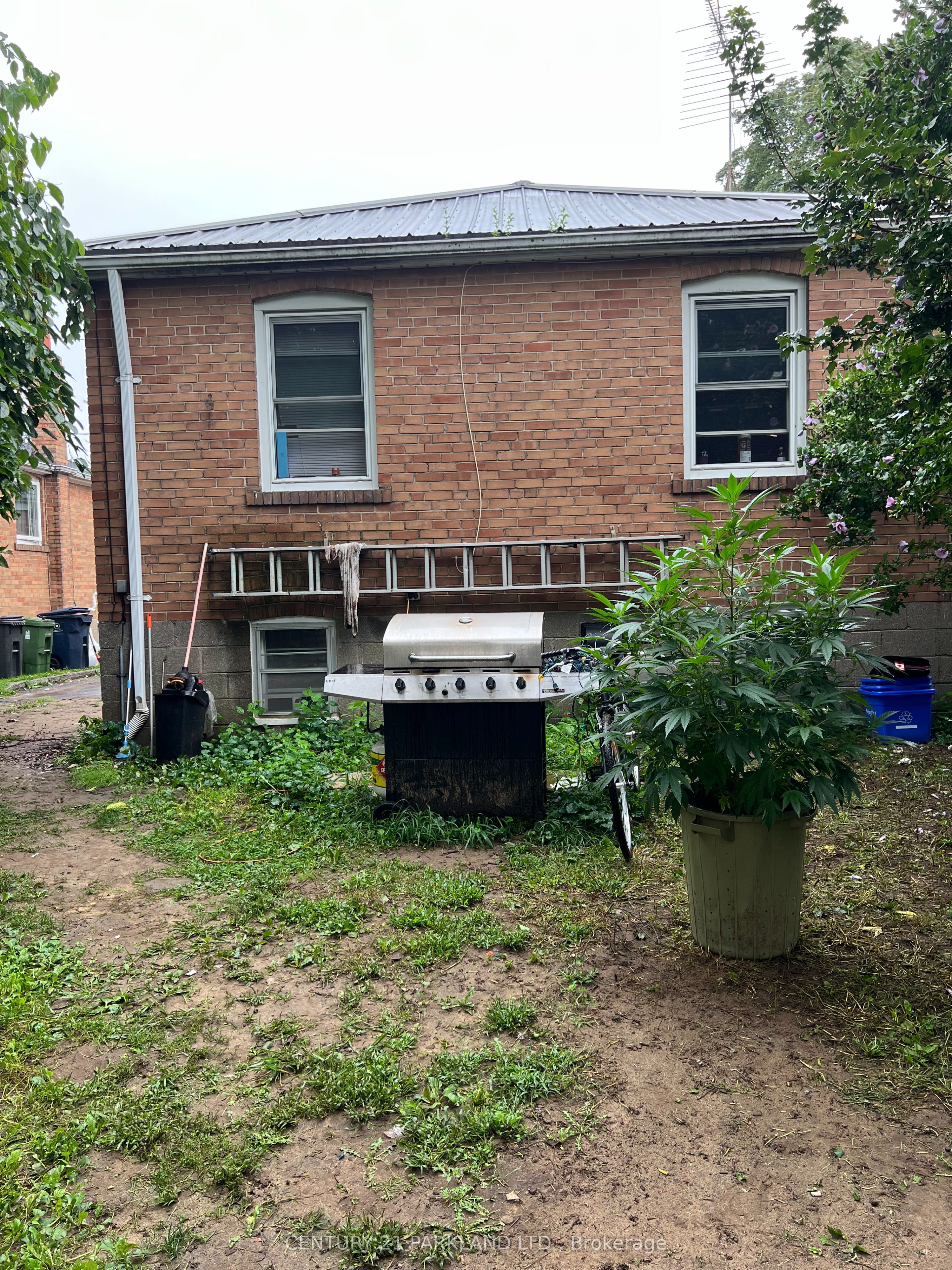 125 North Carson Street, Toronto, ON M8W 4C7 photo 5