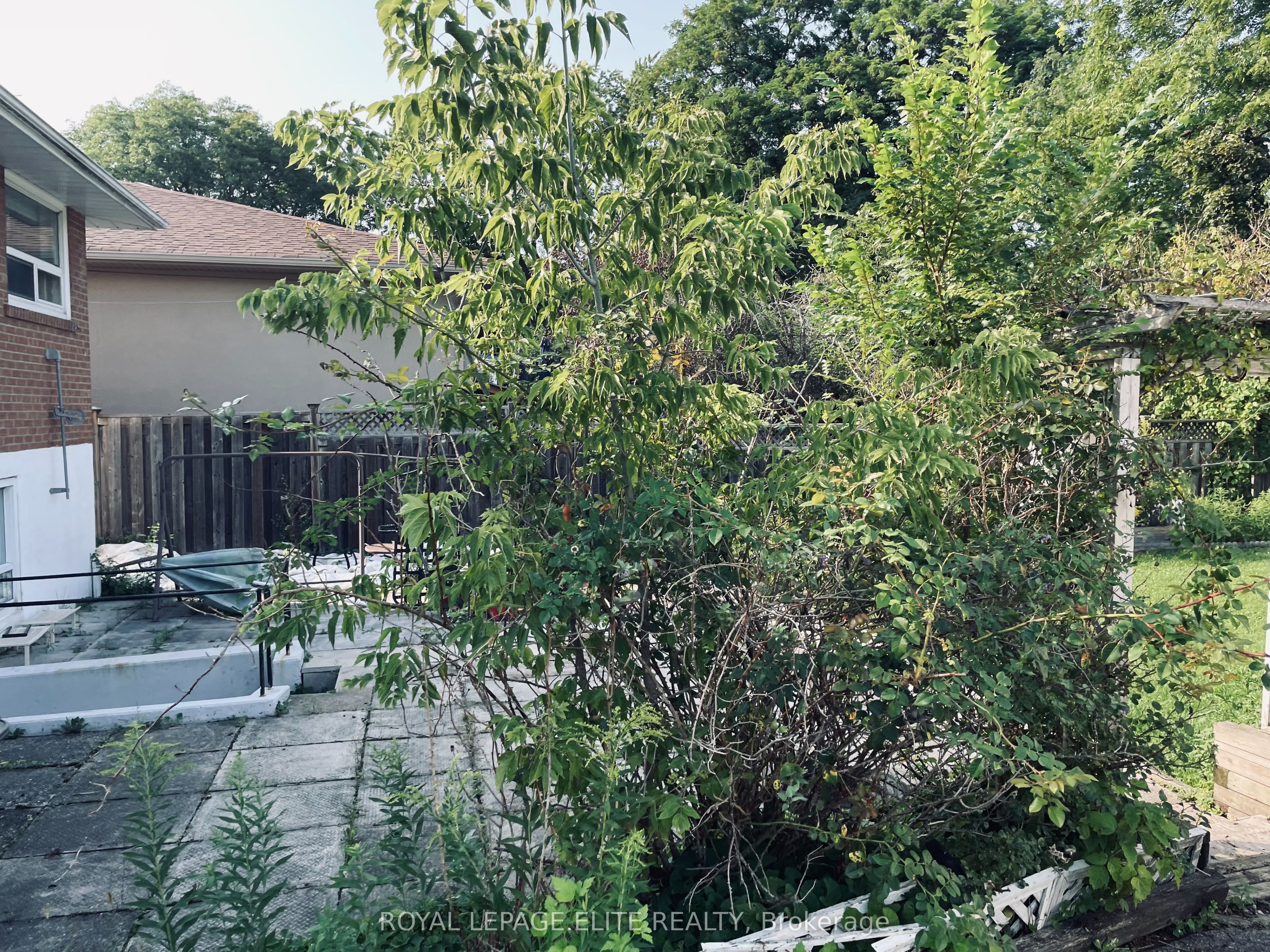 13 Joseph Street, Mississauga, ON L5M 1N8 photo 4