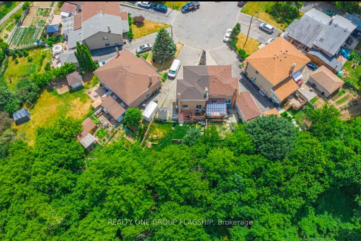 12 Azalea Court, Toronto, ON M9M 1V1 photo 3