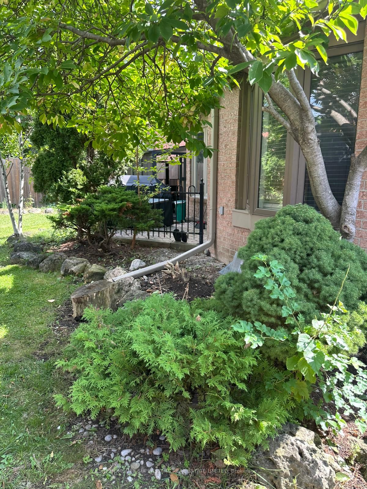 4 Nottingham Crescent, Brampton, ON L6S 4G4 photo 4