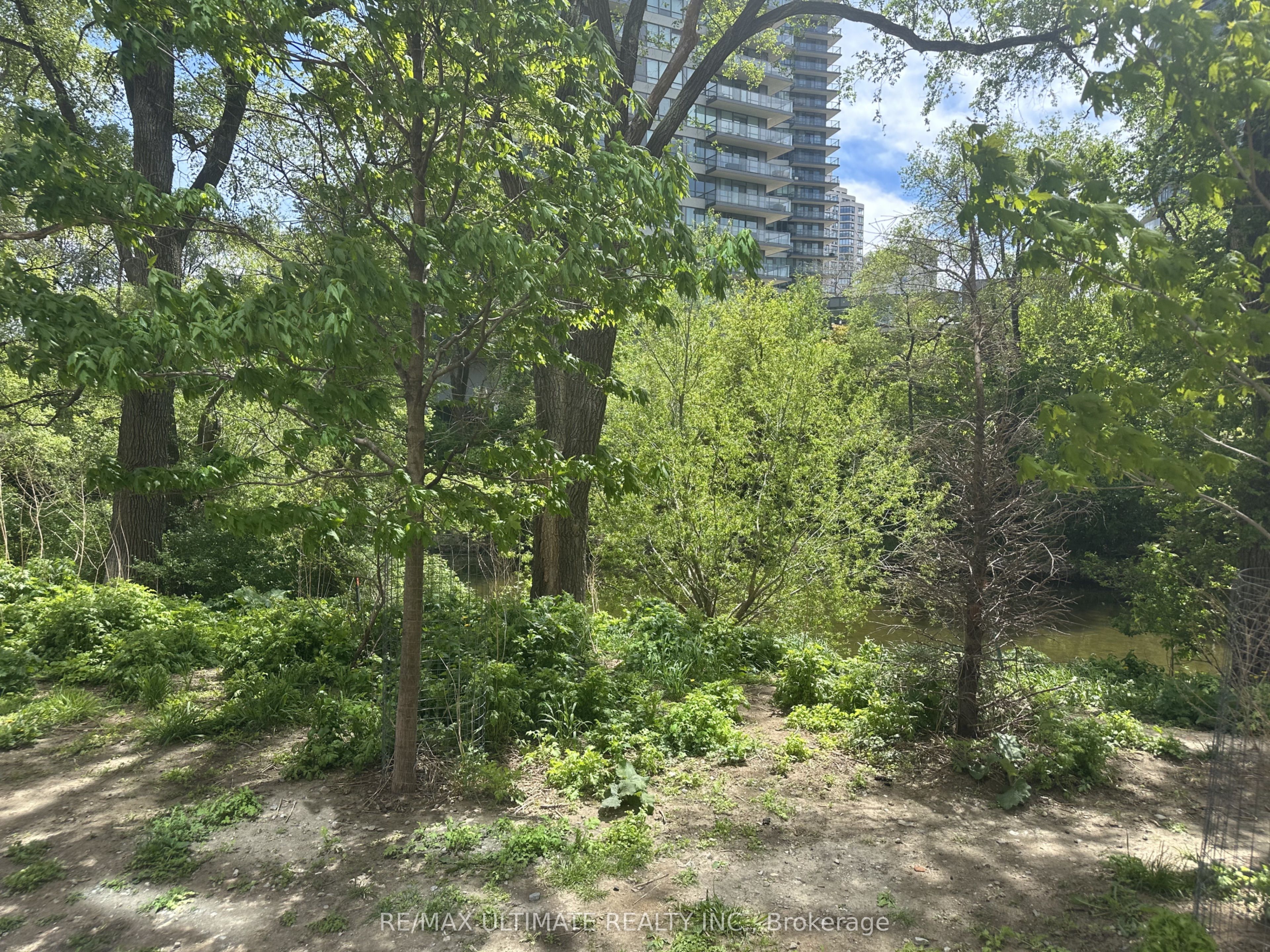 2212 Lake Shore Boulevard W TH01, Toronto, ON M8V 0C2 photo 2