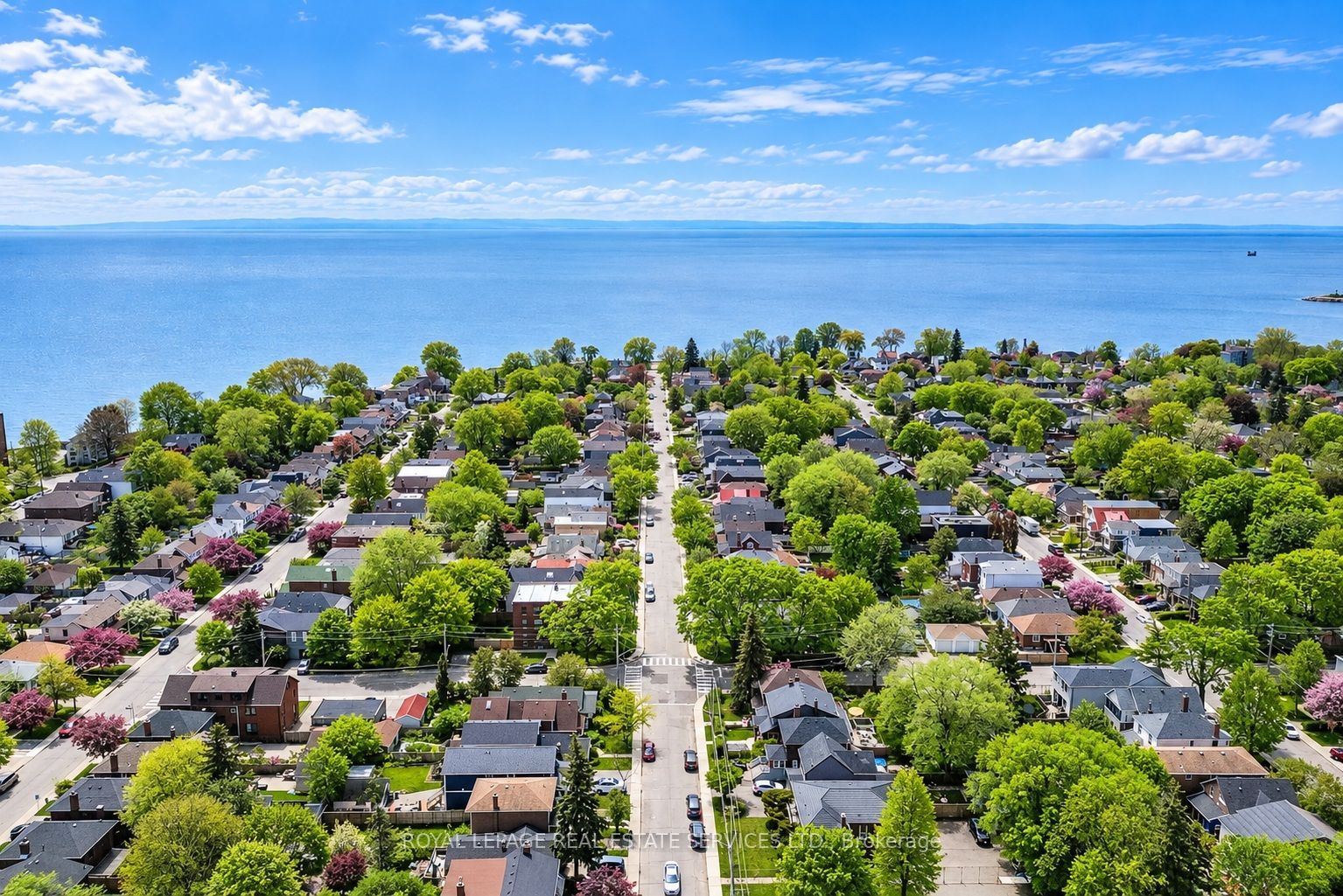 60 Sixth Street, Toronto, ON M8V 3A2 photo 4
