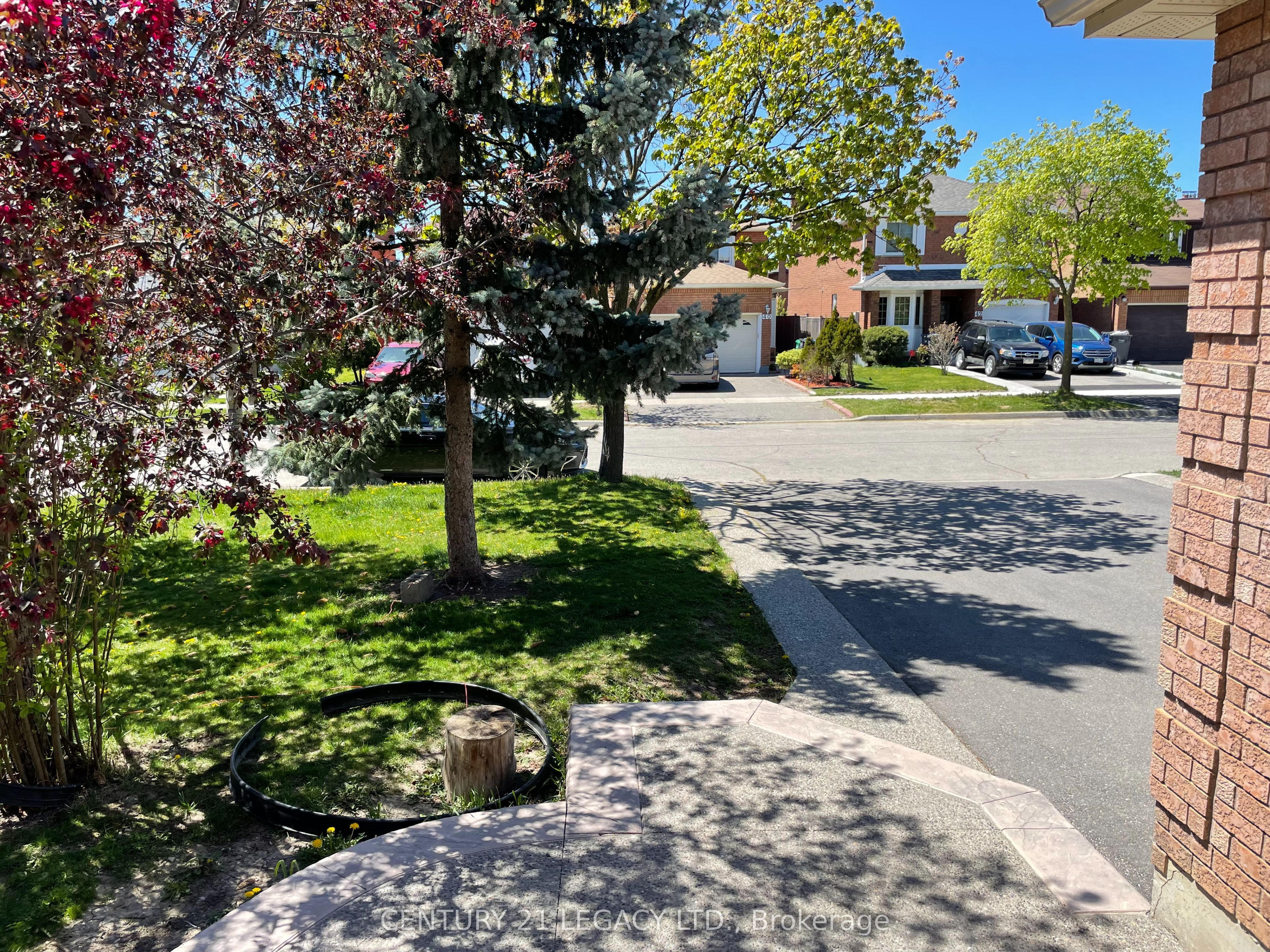 25 Kentucky Drive (Upper), Brampton, ON L6Y 4E9 photo 5
