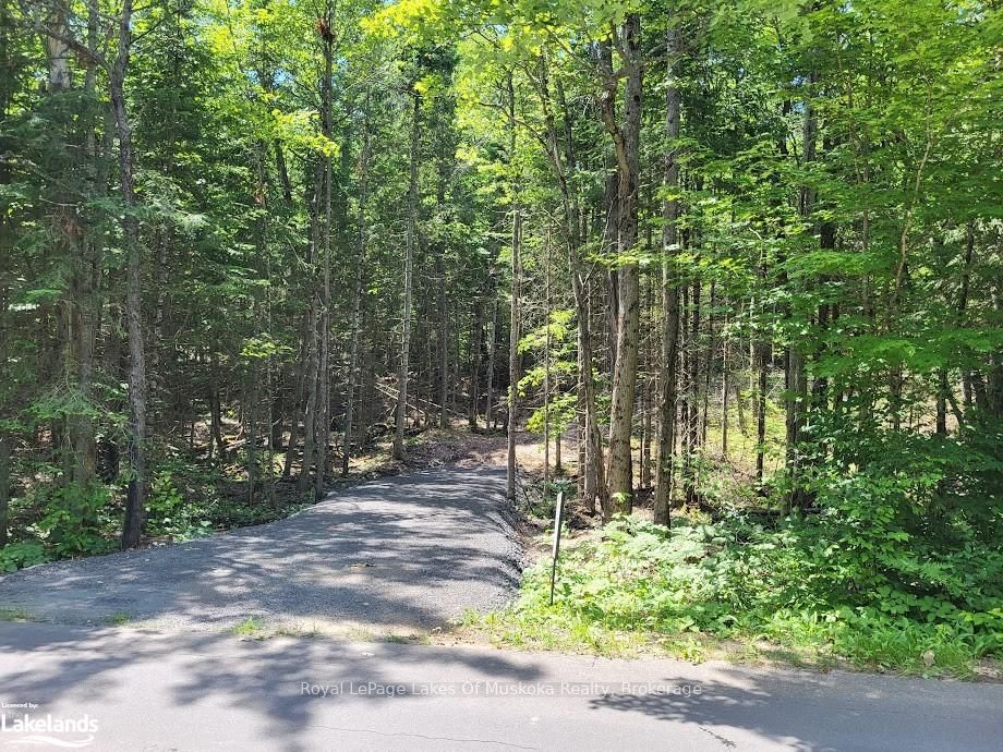 LOT 5 FAIRY FALLS Road, Lake of Bays, ON P0B 1A0 photo 2