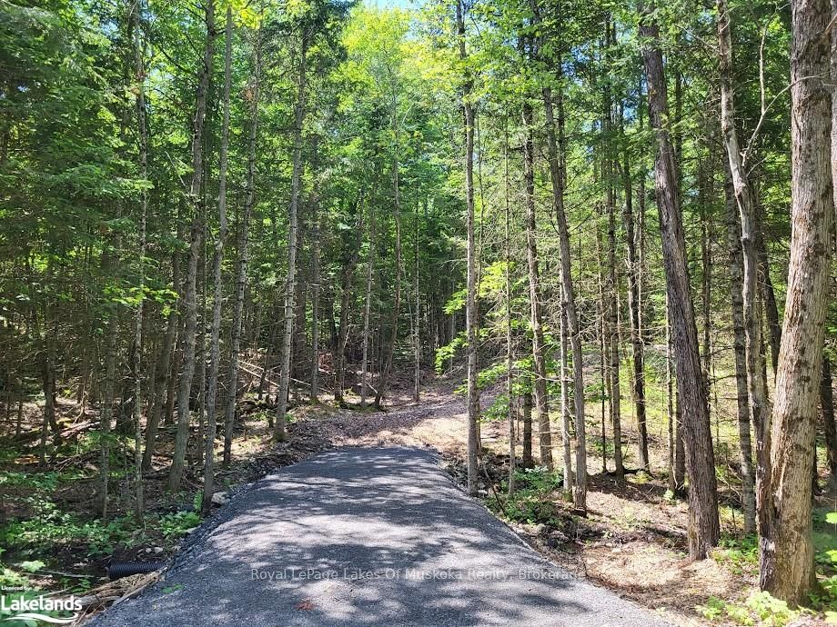 LOT 5 FAIRY FALLS Road, Lake of Bays, ON P0B 1A0 photo 3