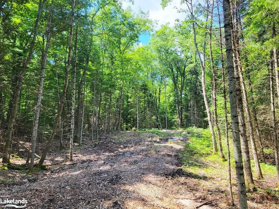 LOT 5 FAIRY FALLS Road, Lake of Bays, ON P0B 1A0 photo 5
