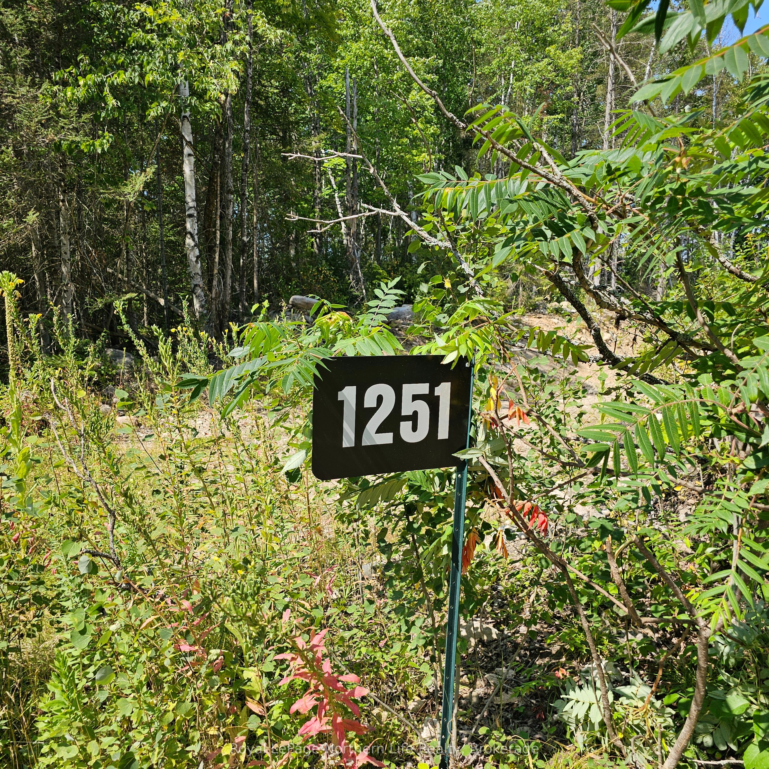 1251 SNAKE CREEK Road, Mattawan, ON P0H 1V0 photo 2