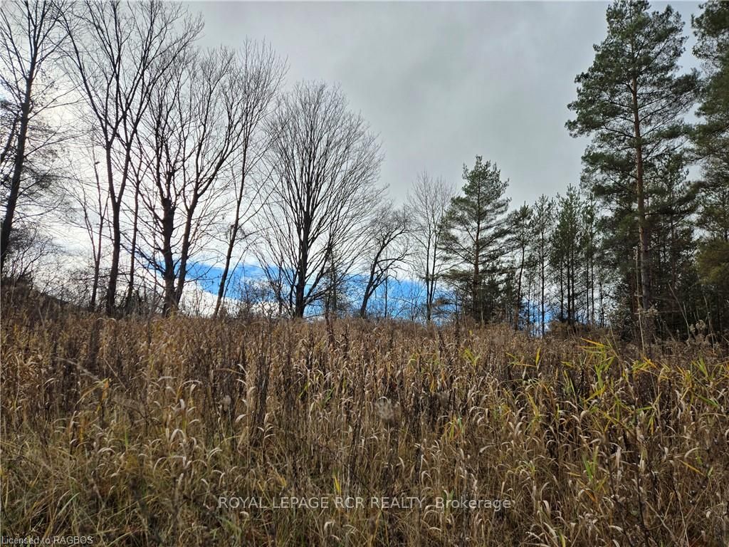 LT 8 WS HIGHWAY 6 N/A, Chatsworth, ON N0H 2V0 photo 2
