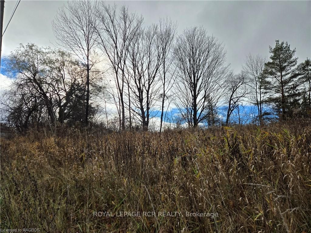 LT 8 WS HIGHWAY 6 N/A, Chatsworth, ON N0H 2V0 photo 5