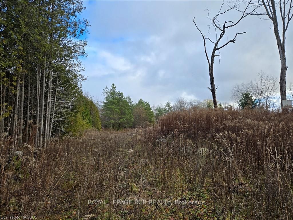 PTLT8ES SALTER Street, Chatsworth, ON N0H 2V0 photo 2