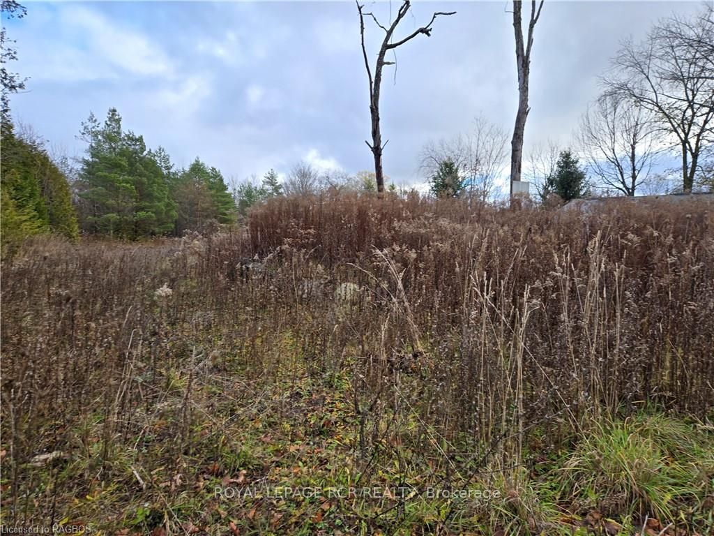 PTLT8ES SALTER Street, Chatsworth, ON N0H 2V0 photo 3