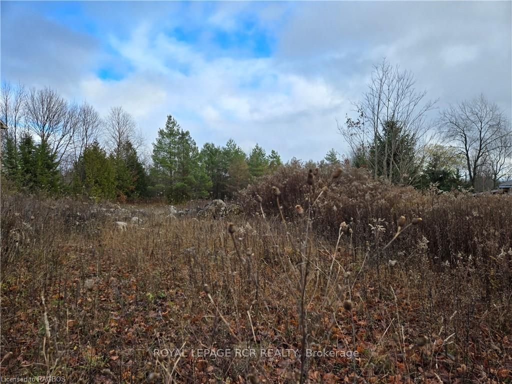 PTLT8ES SALTER Street, Chatsworth, ON N0H 2V0 photo 4