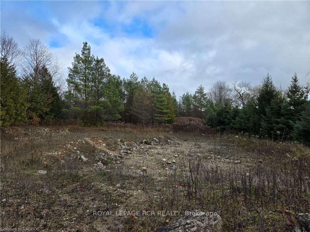 PTLT8ES SALTER Street, Chatsworth, ON N0H 2V0 photo 5