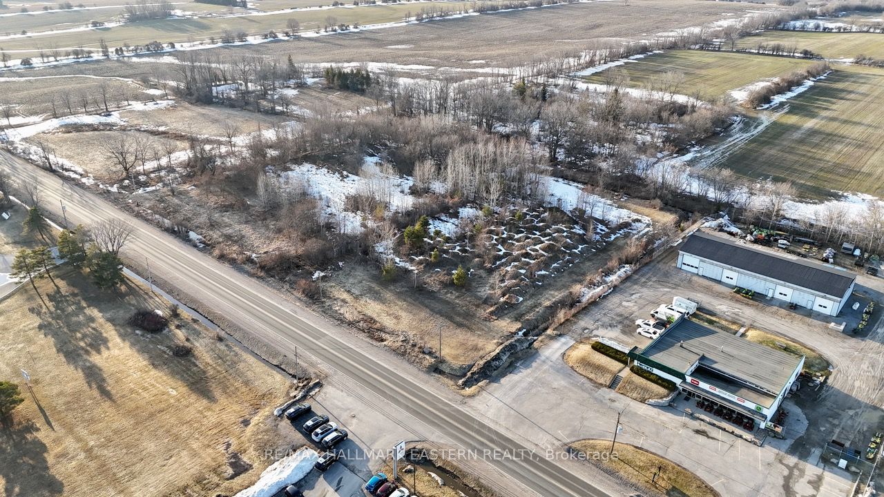 2100 Lansdowne Street, Cavan Monaghan, ON K9J 0G5 photo 5