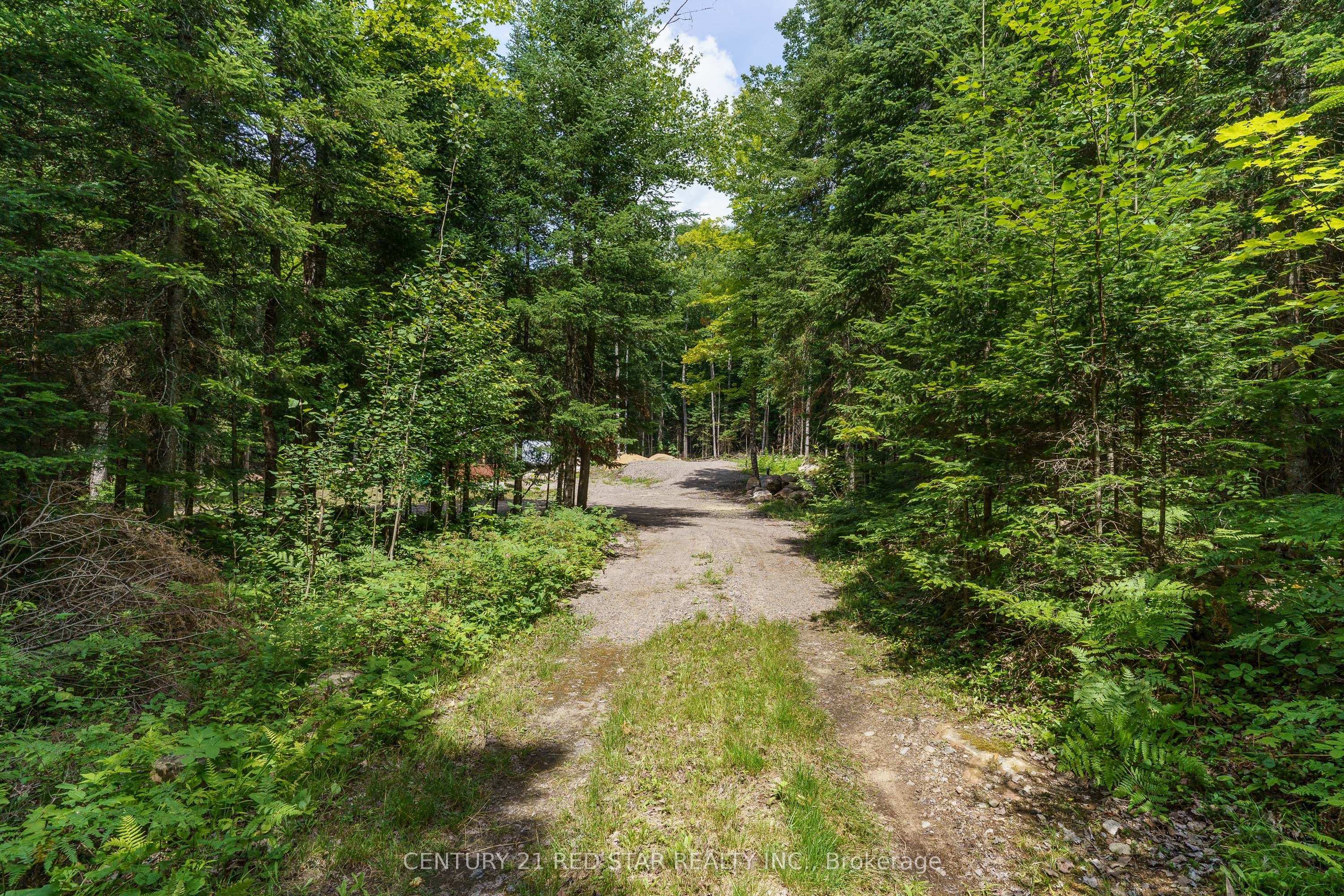 2978 Glamorgan Road, Highlands East, ON K0M 1S0