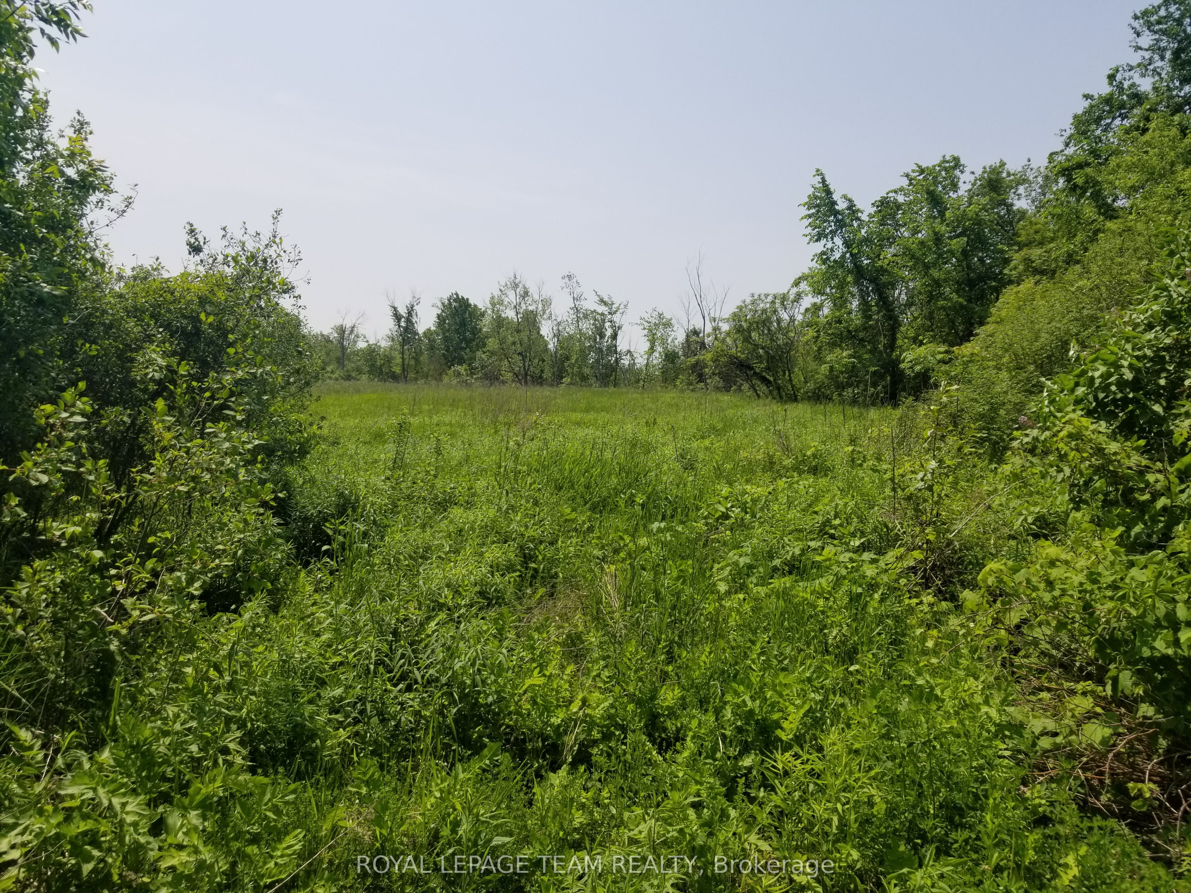 0000 S Scrivens Drive S, Greely - Metcalfe - Osgoode - Vernon and Area, ON K0A 2P0 photo 2