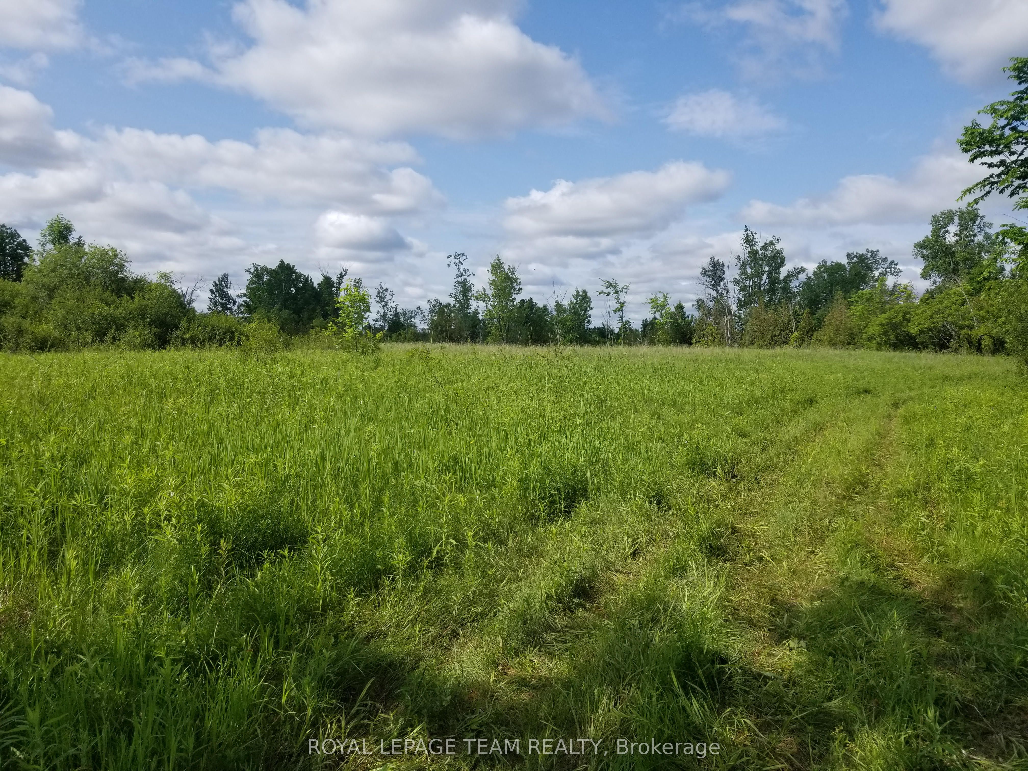 0000 S Scrivens Drive S, Greely - Metcalfe - Osgoode - Vernon and Area, ON K0A 2P0 photo 5