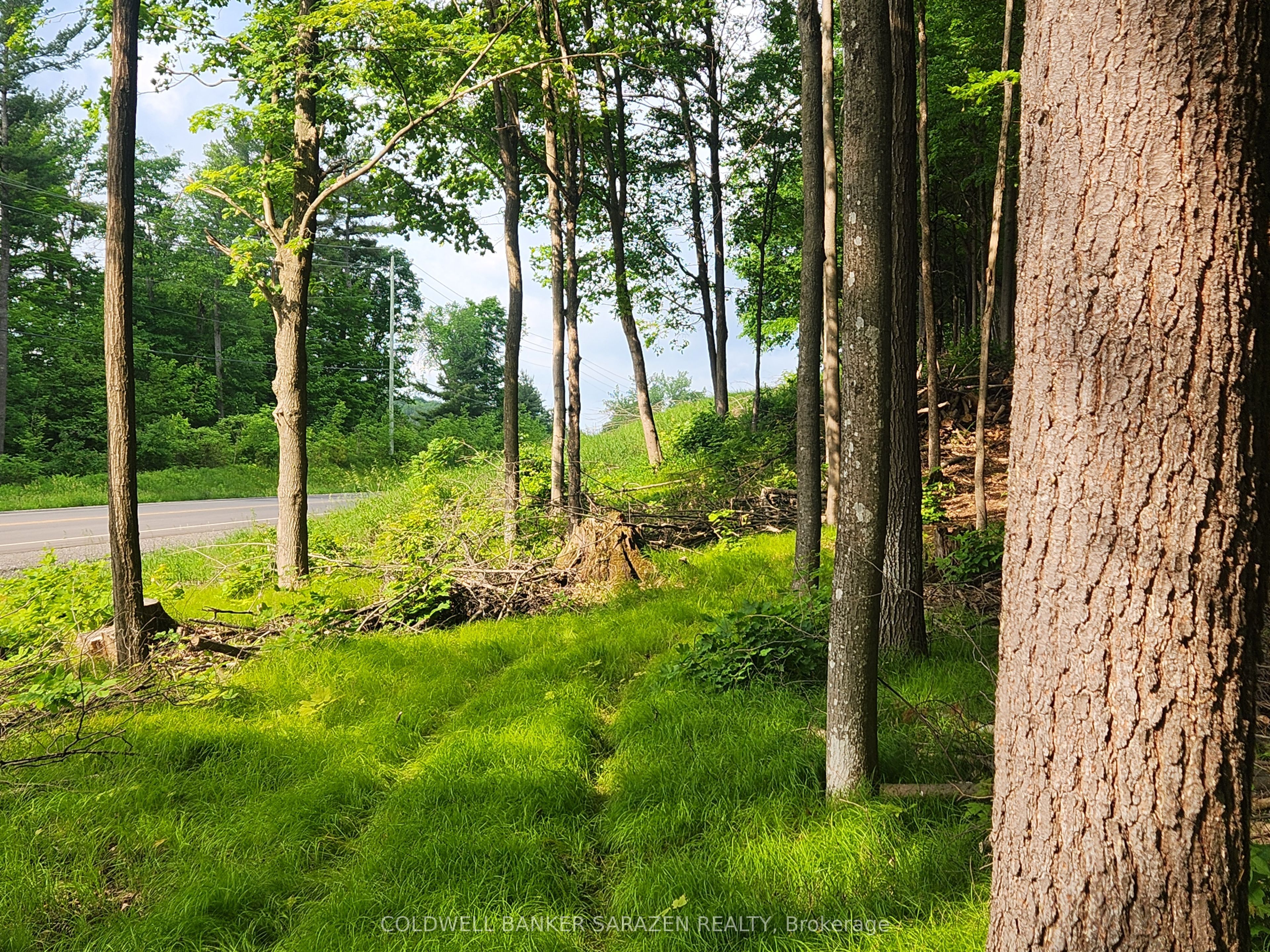 1680 CALABOGIE Road, McNab/Braeside, ON K0A 1G0 photo 2