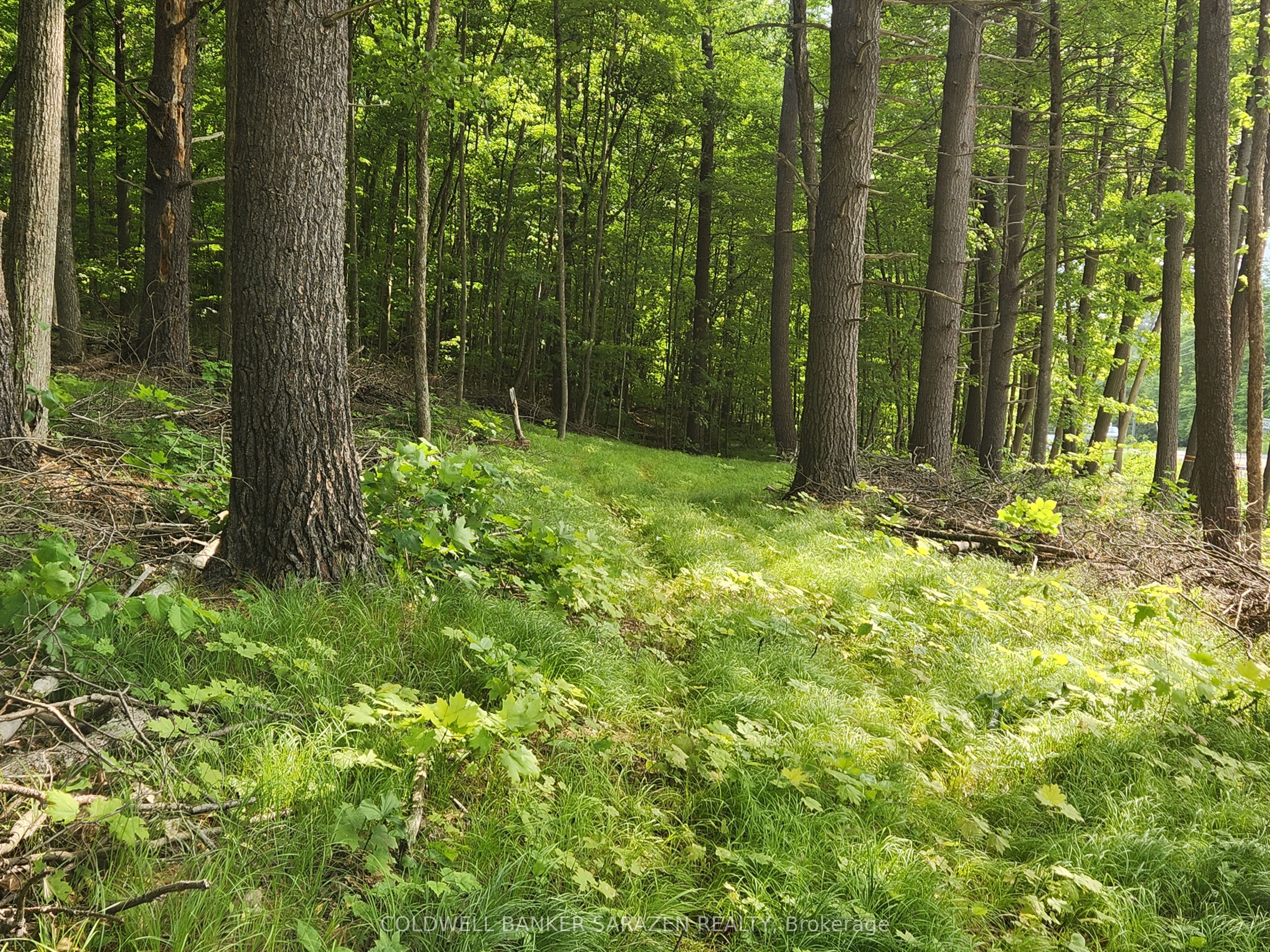 1680 CALABOGIE Road, McNab/Braeside, ON K0A 1G0 photo 3