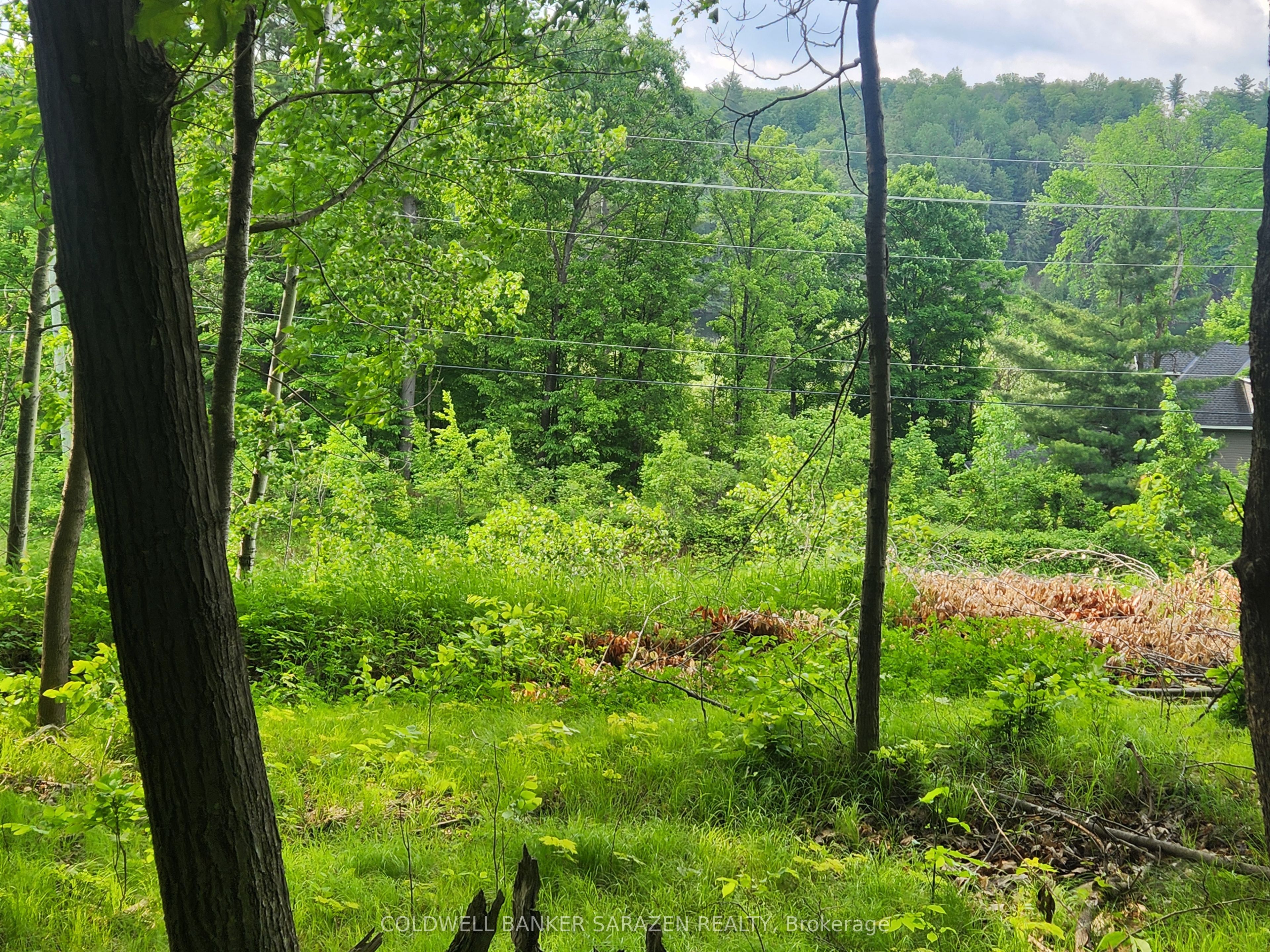 1680 CALABOGIE Road, McNab/Braeside, ON K0A 1G0 photo 4