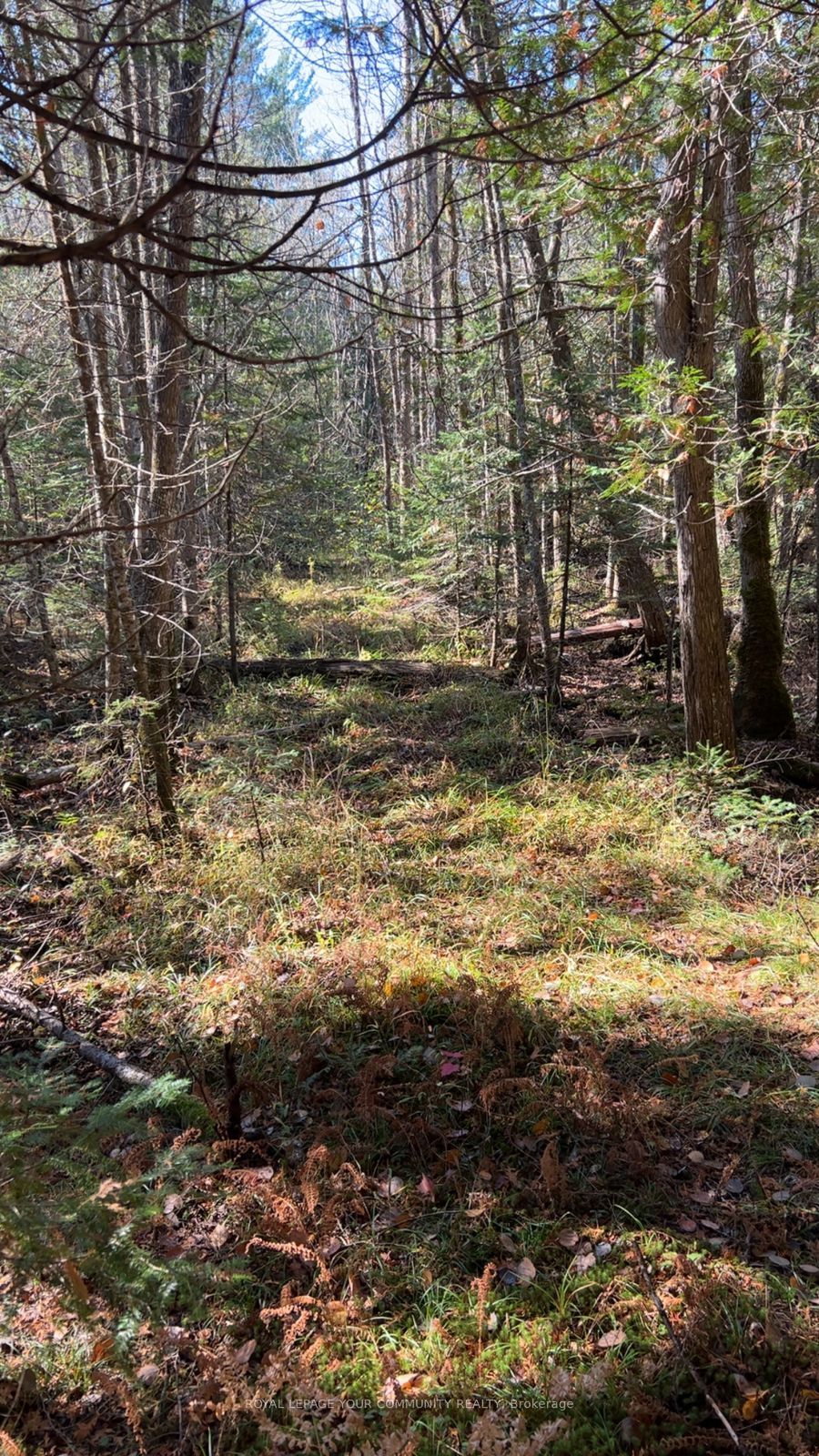 Con 1 Lot 4, Bancroft, ON K0L 2S0 photo 4